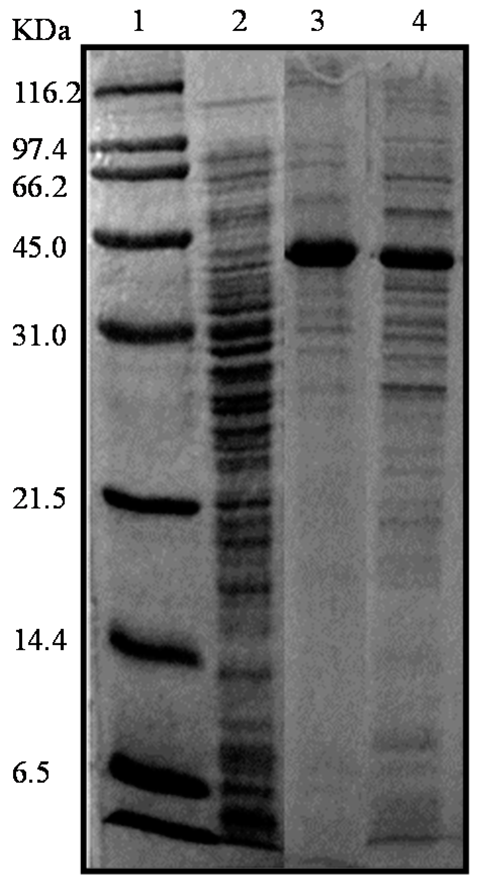 Molecules 22 02164 g001