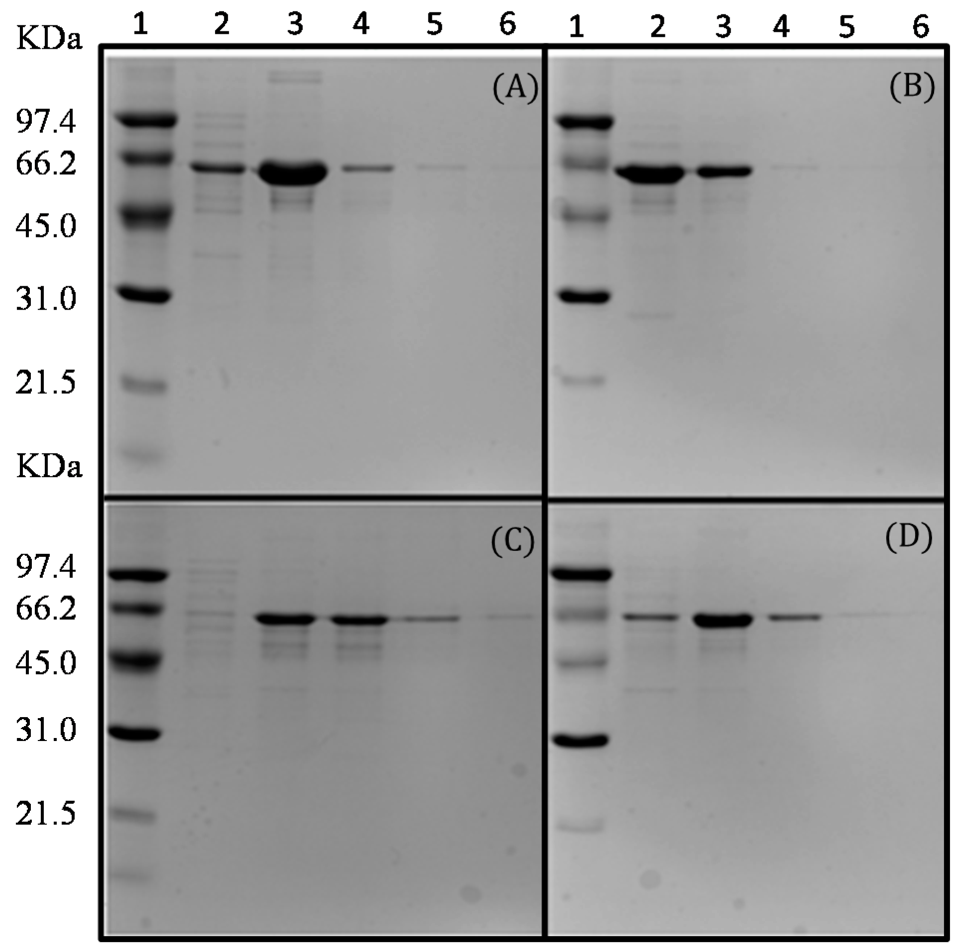 Molecules 22 02164 g002