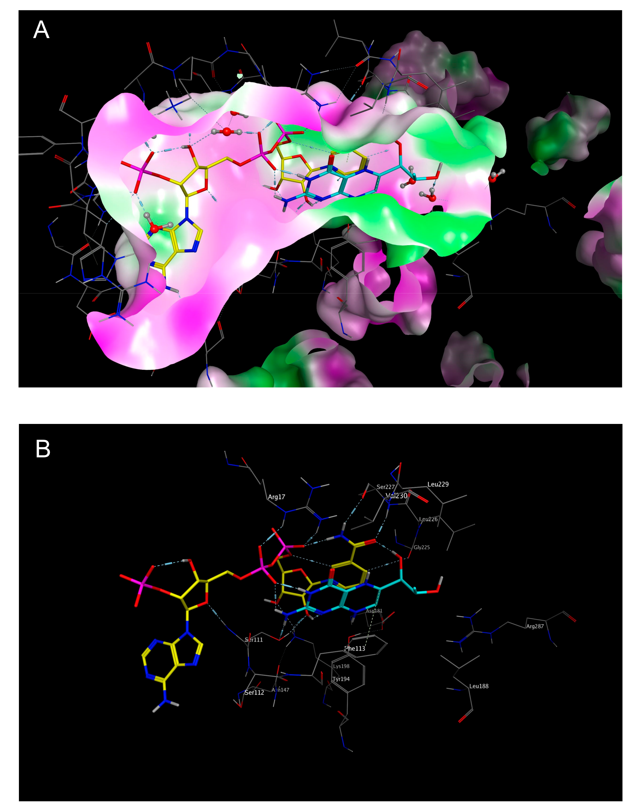 Molecules 22 02166 g005