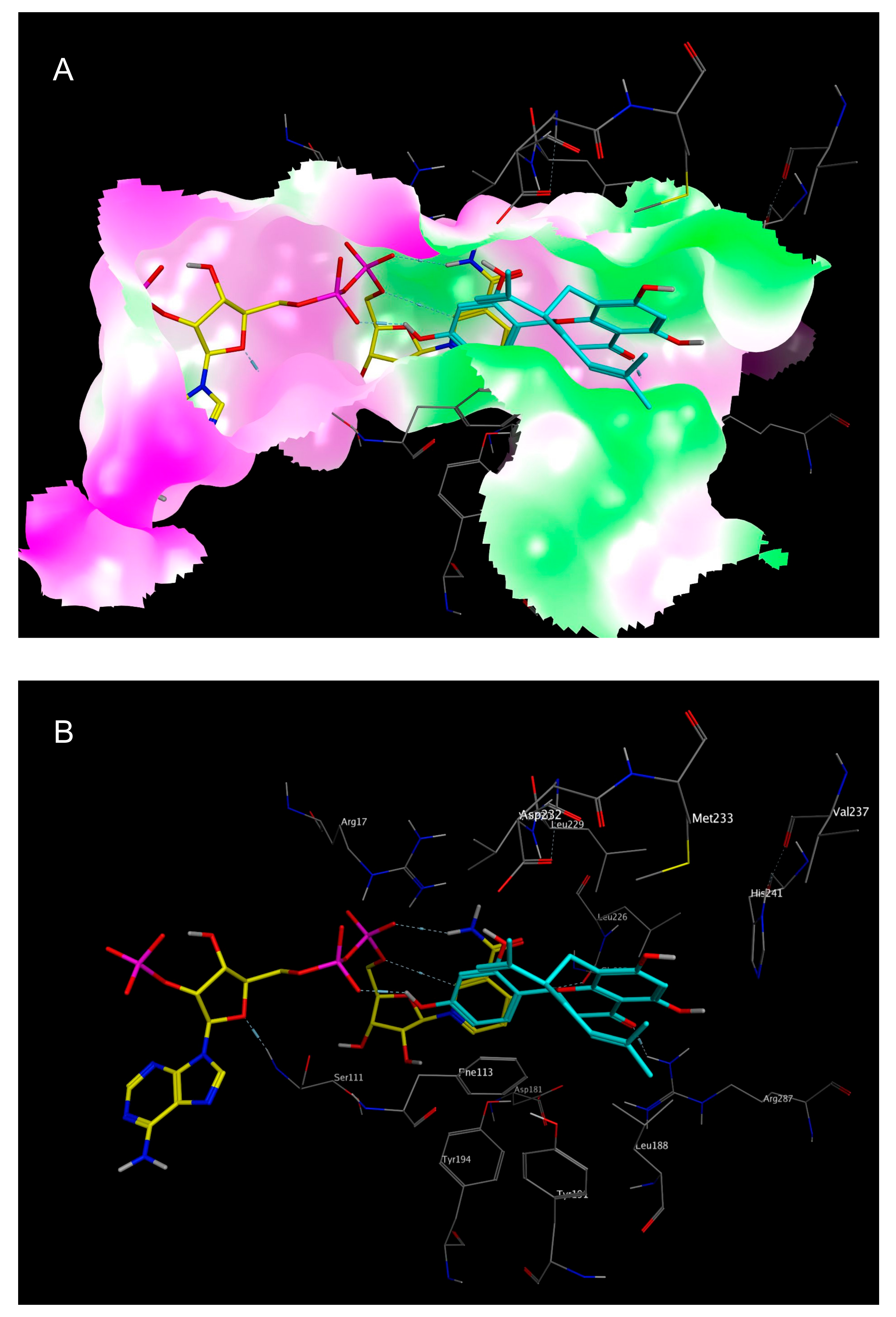Molecules 22 02166 g007