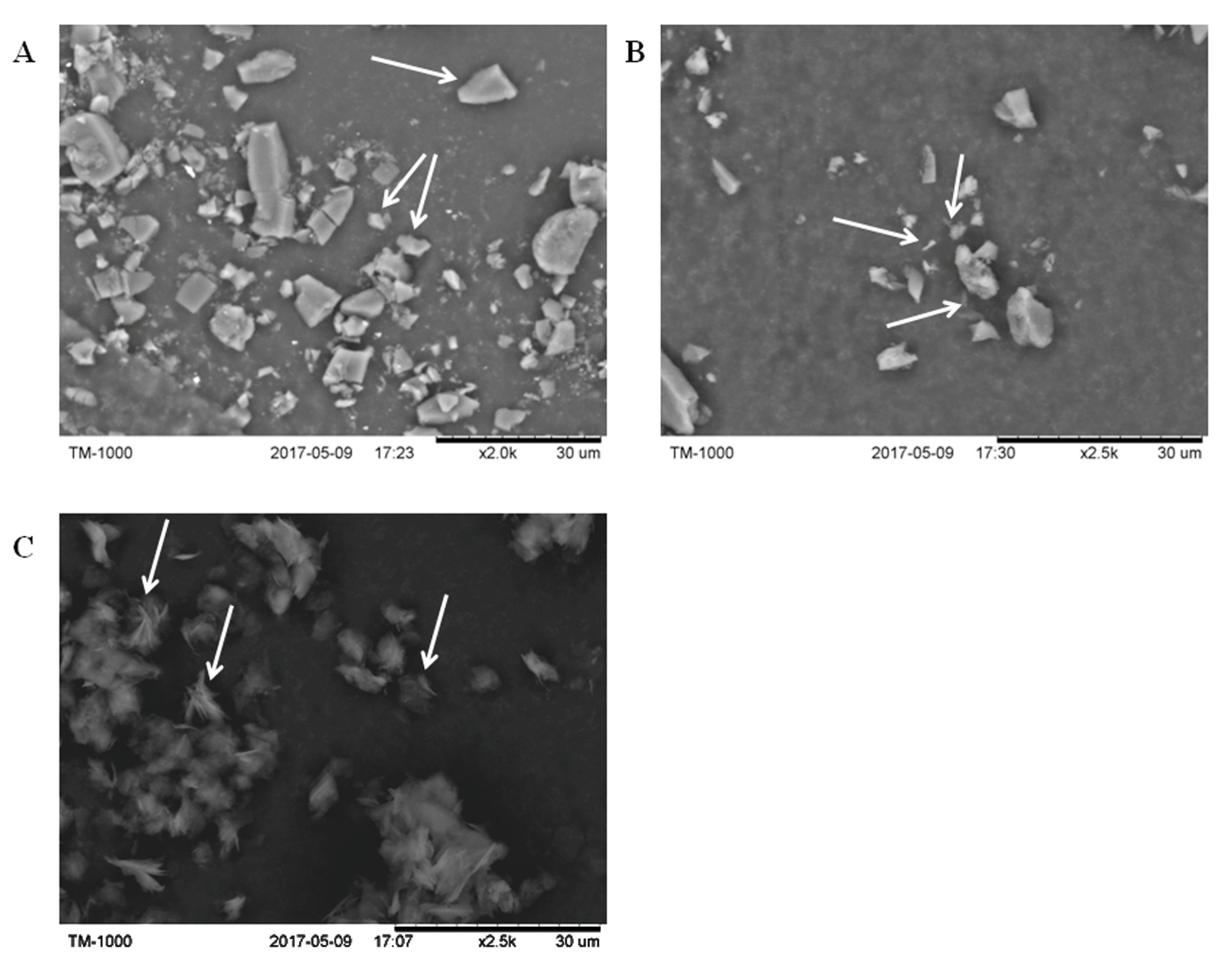 Molecules 22 02175 g001