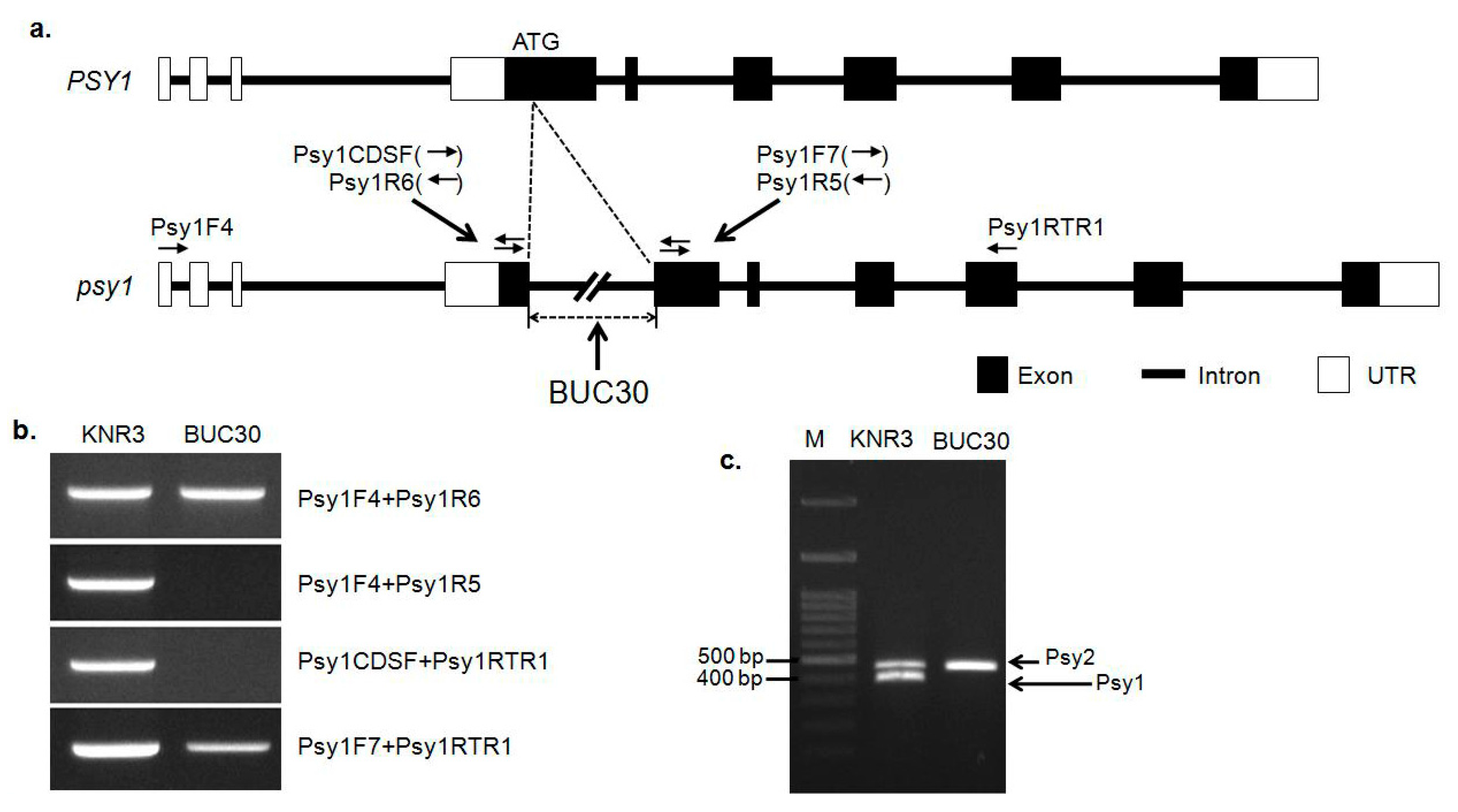 Molecules 22 02180 g002