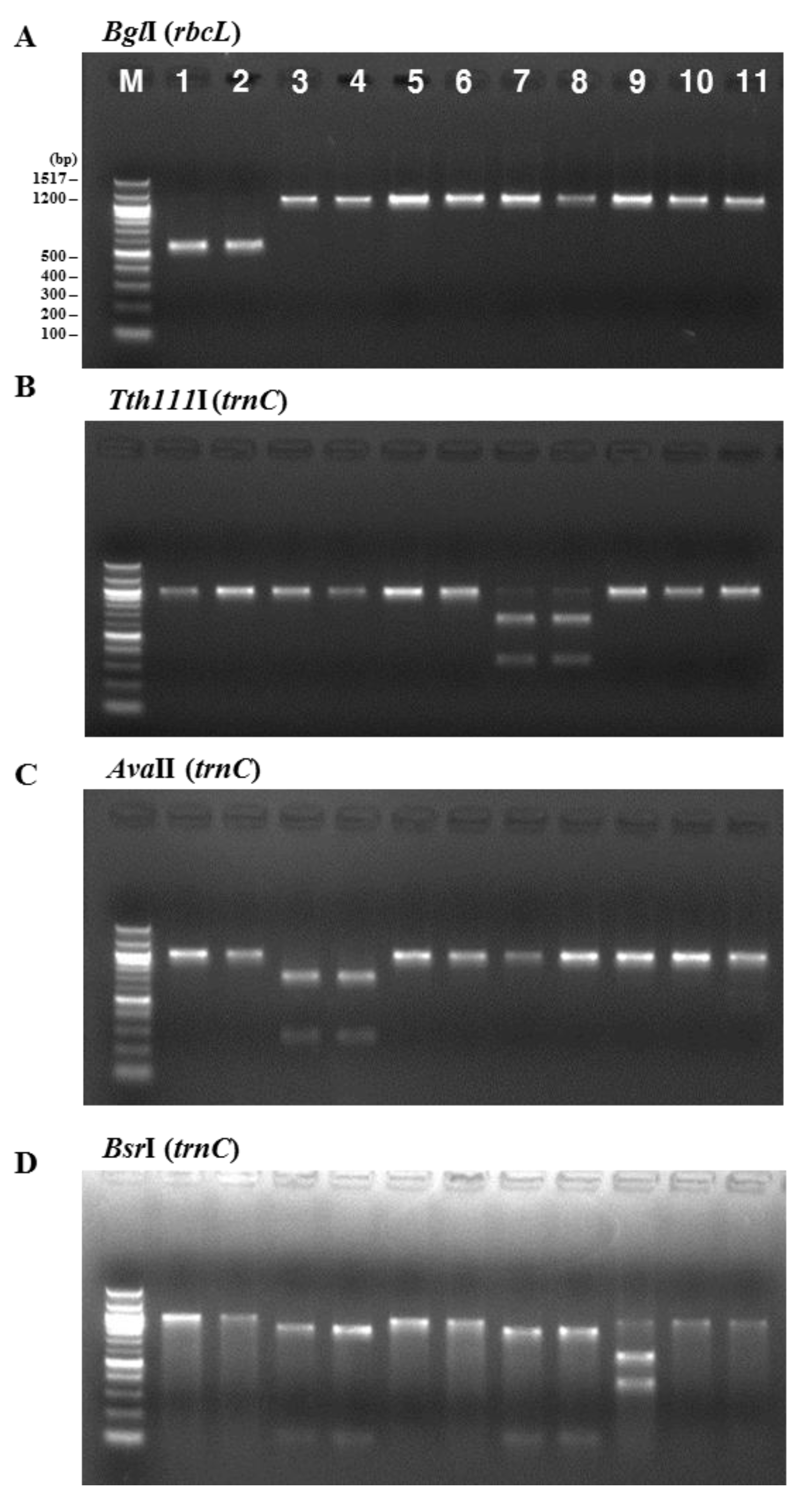 Molecules 22 02182 g002a