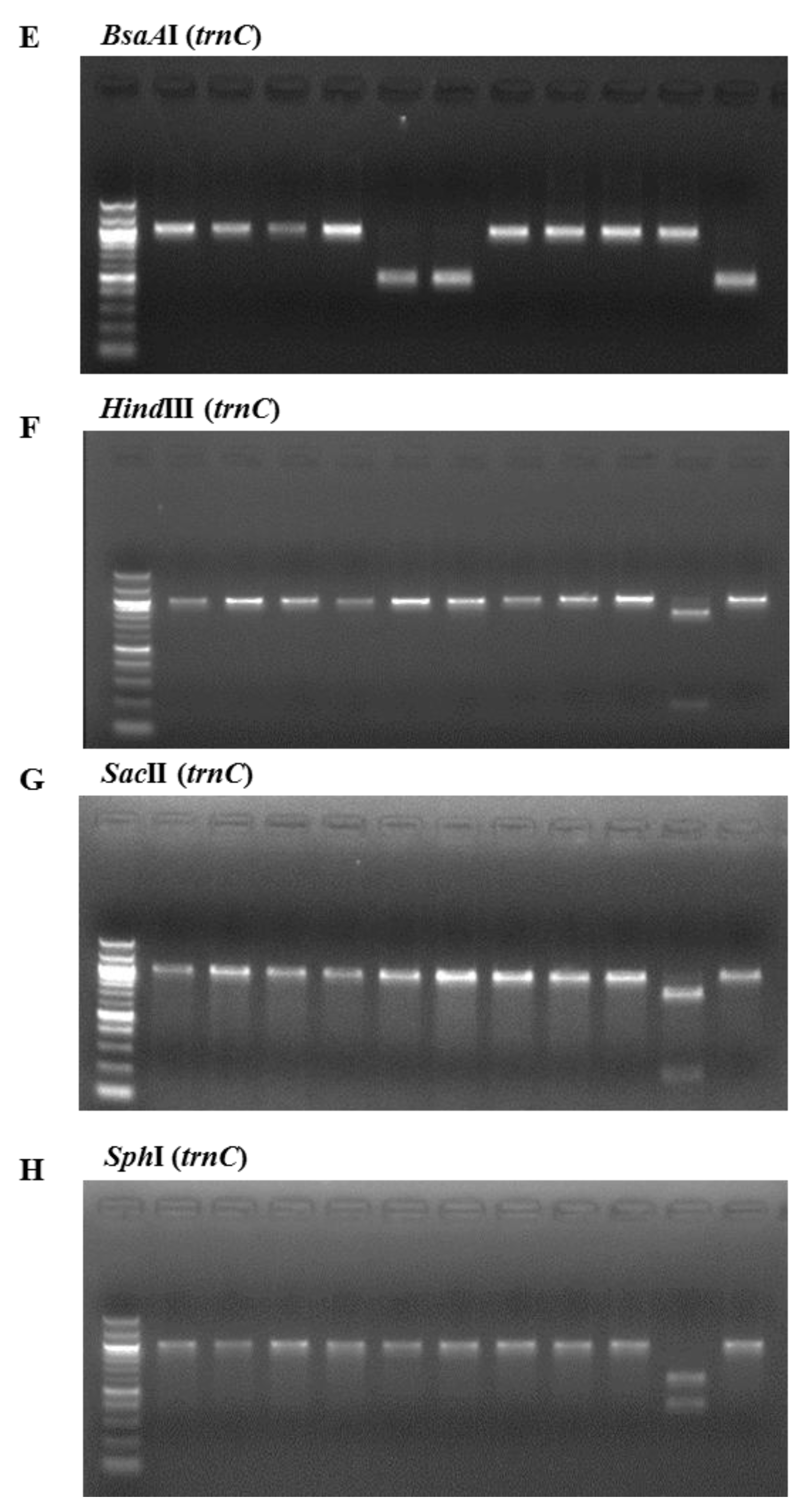 Molecules 22 02182 g002b