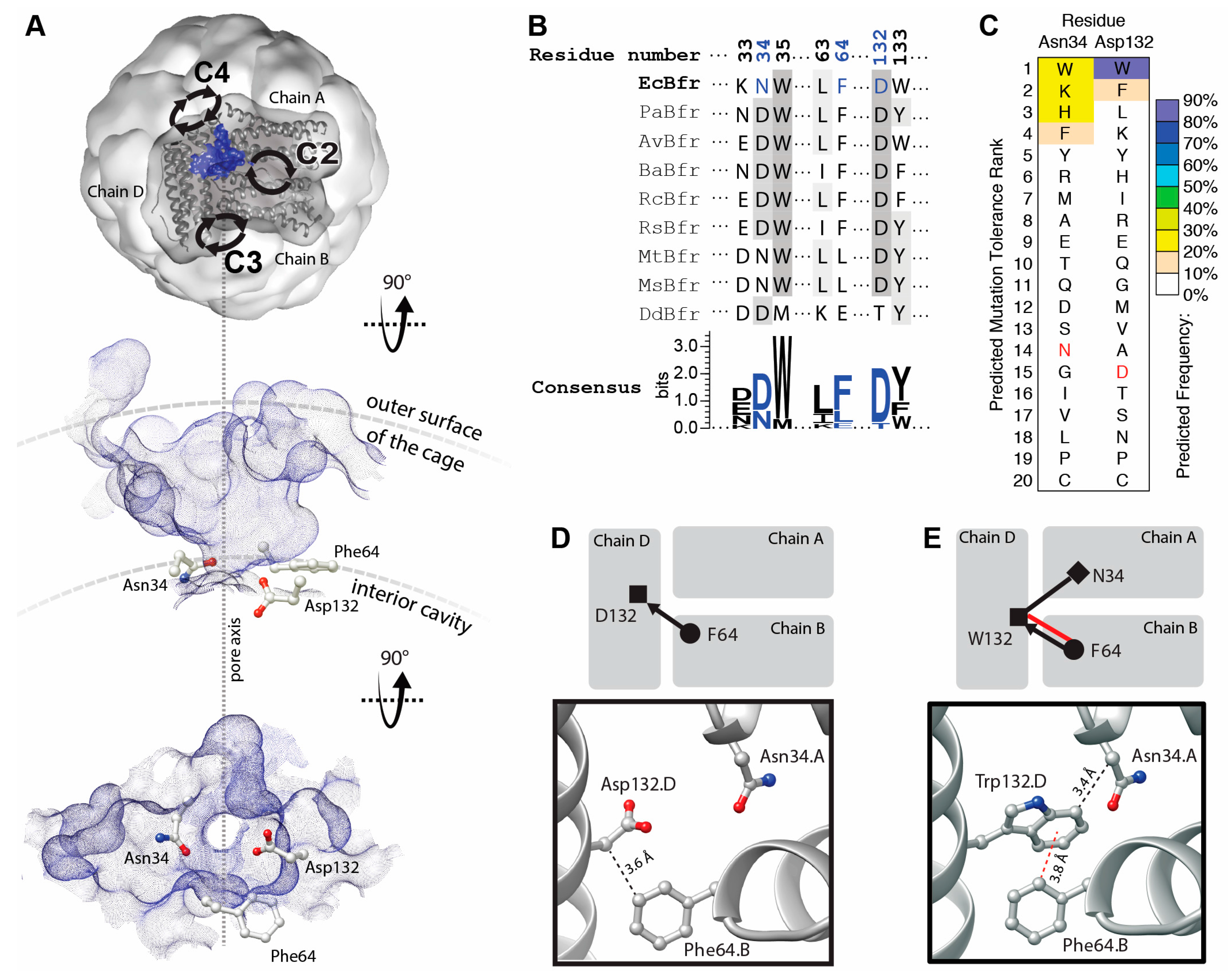 Molecules 22 02184 g001
