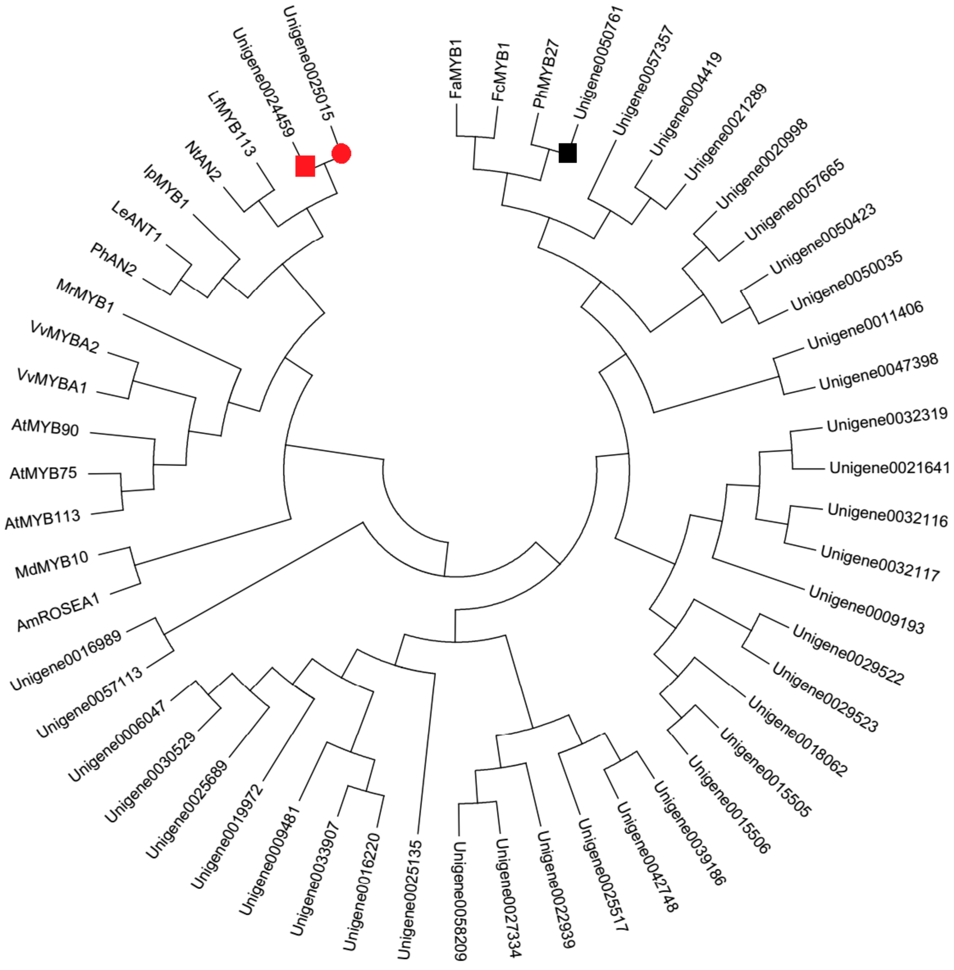 Molecules 22 02186 g003