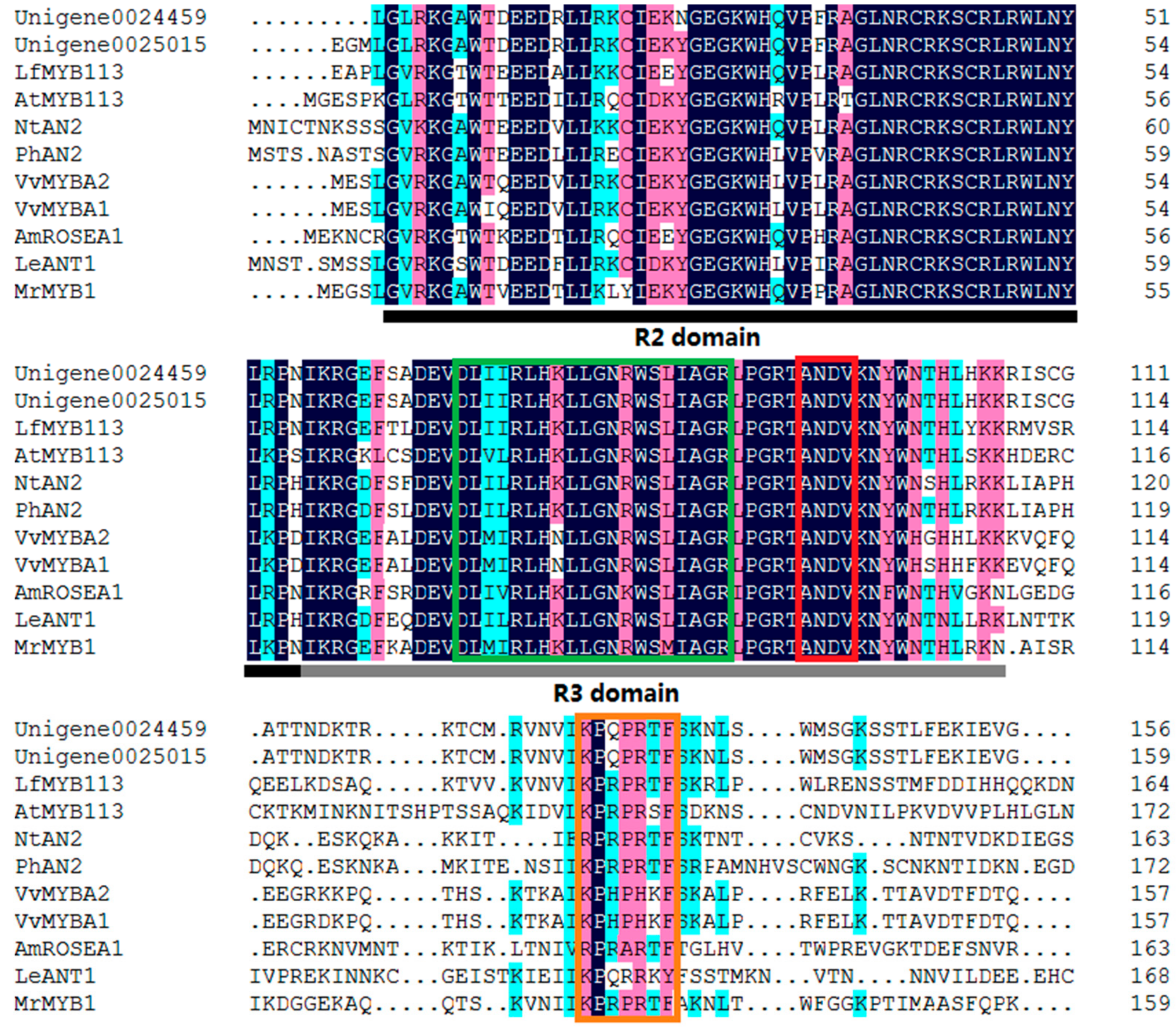 Molecules 22 02186 g004