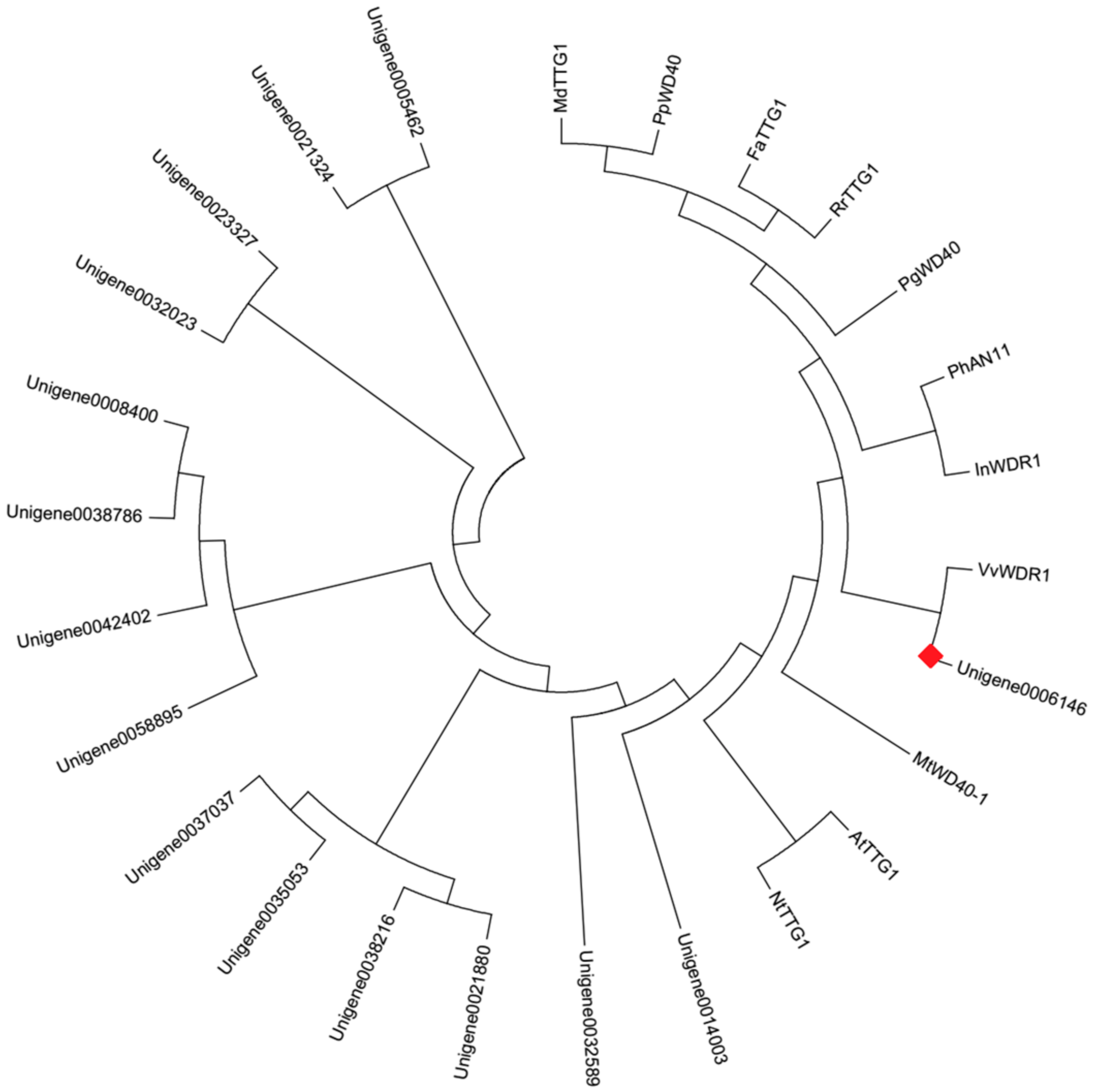 Molecules 22 02186 g008