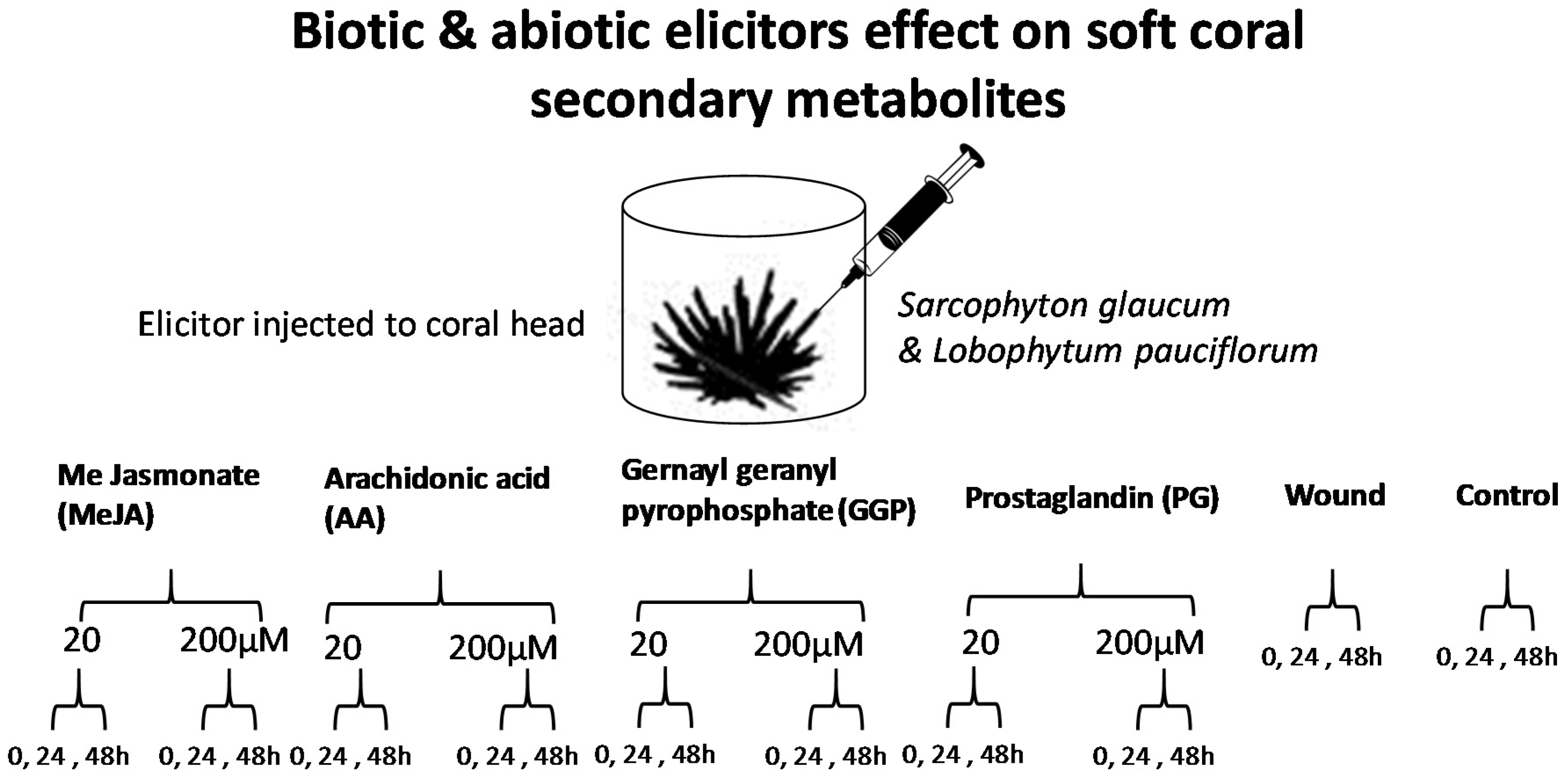 Molecules 22 02195 g001