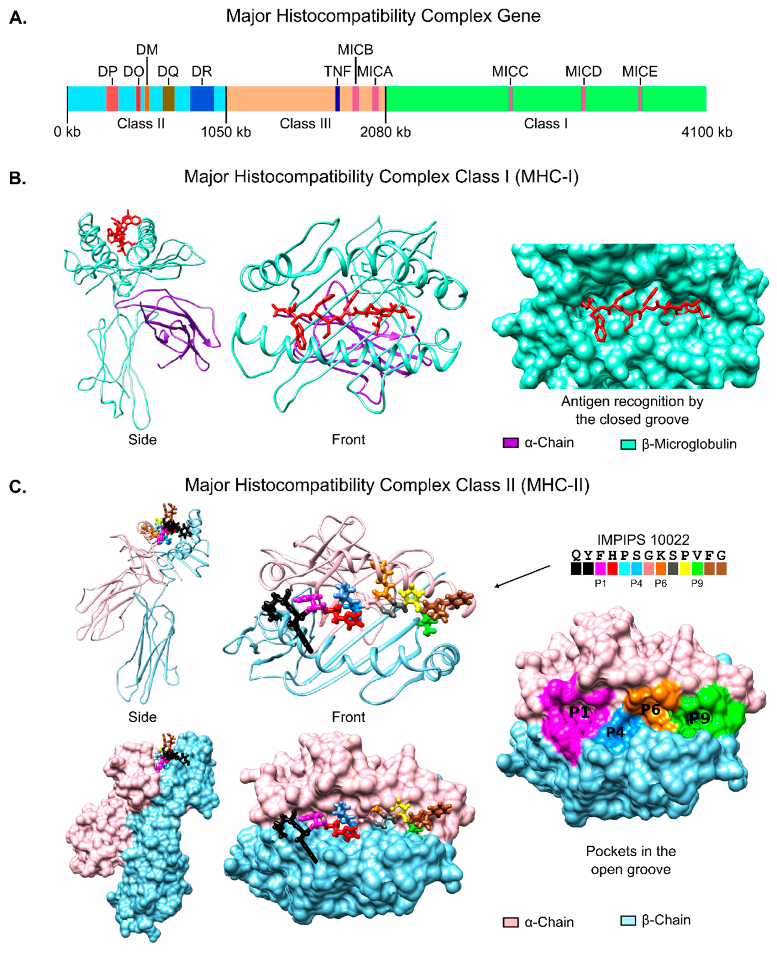 Molecules 22 02199 g003