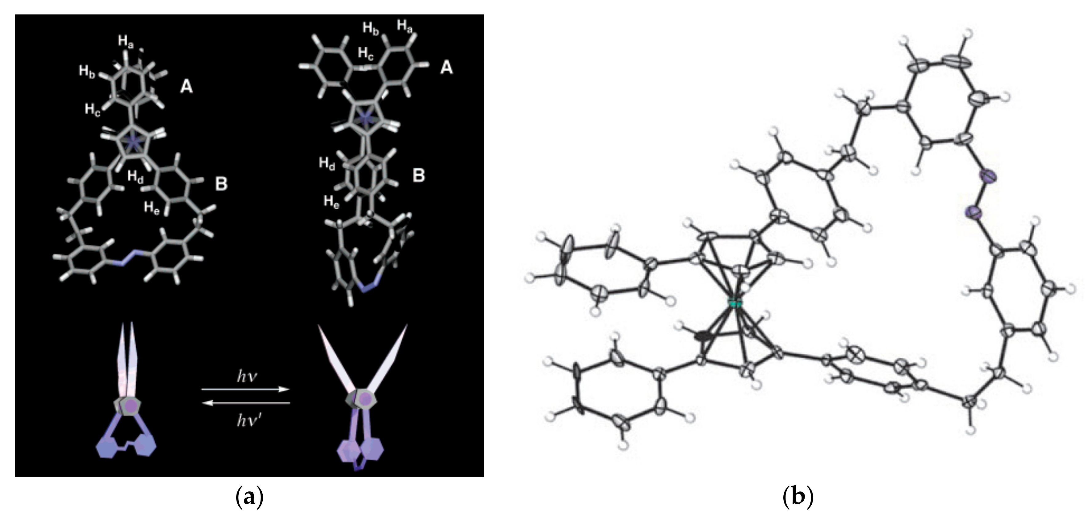 Molecules 22 02201 g013
