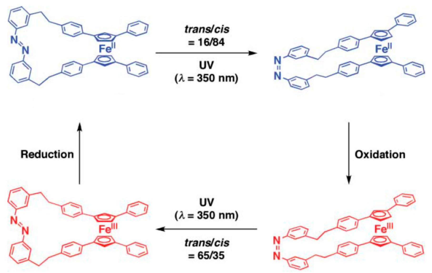 Molecules 22 02201 g014