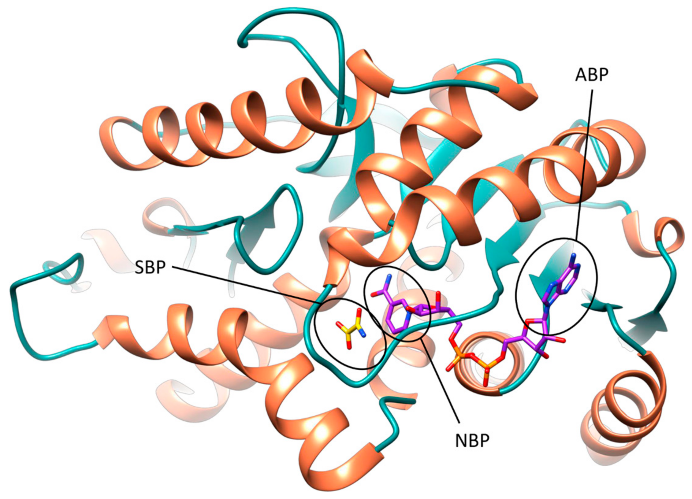 Molecules 22 02217 g001