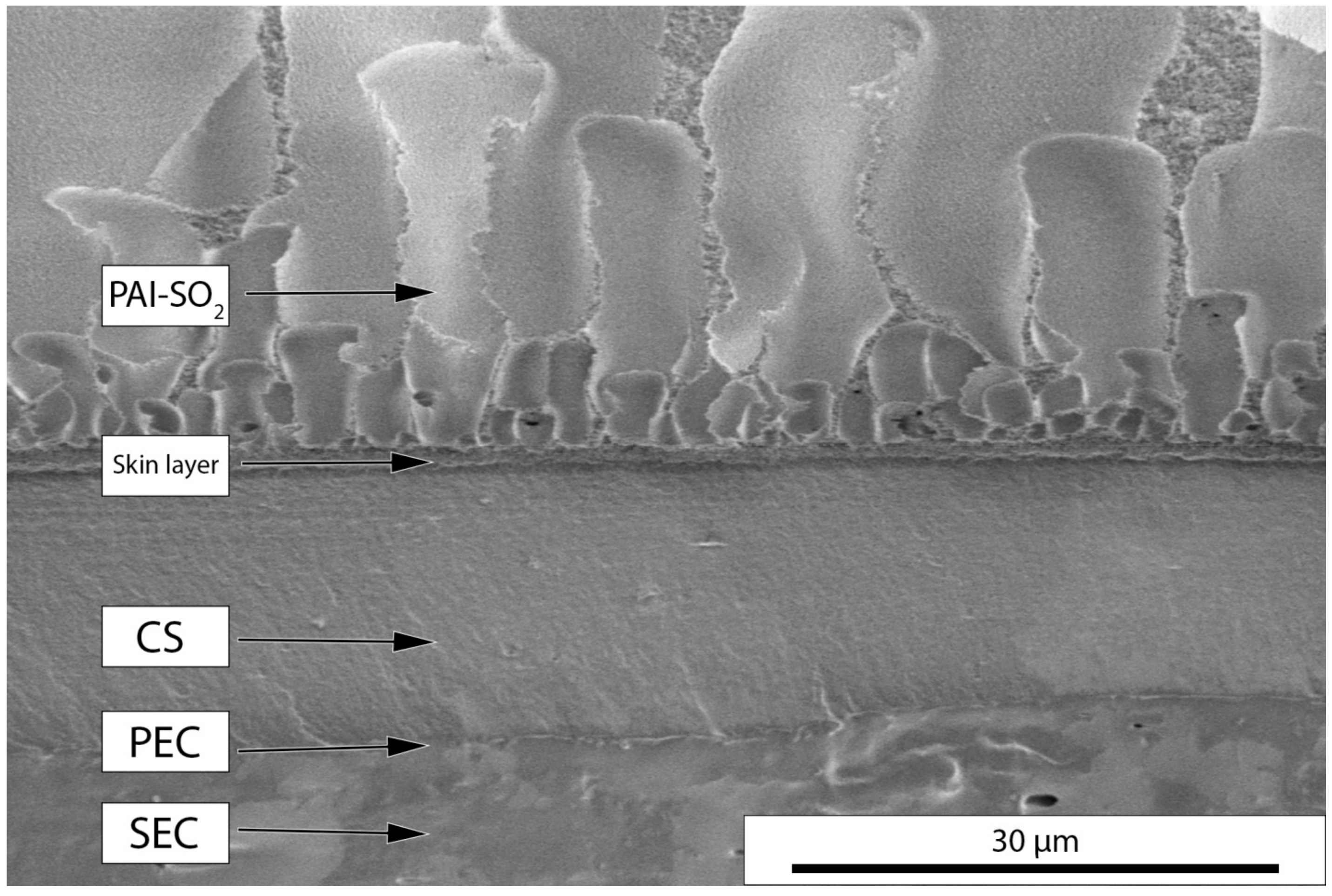 Molecules 22 02227 g001