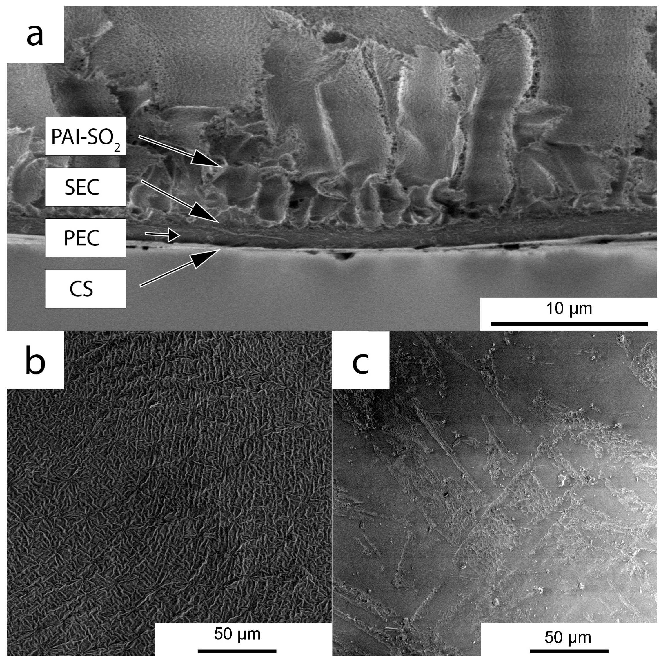 Molecules 22 02227 g002