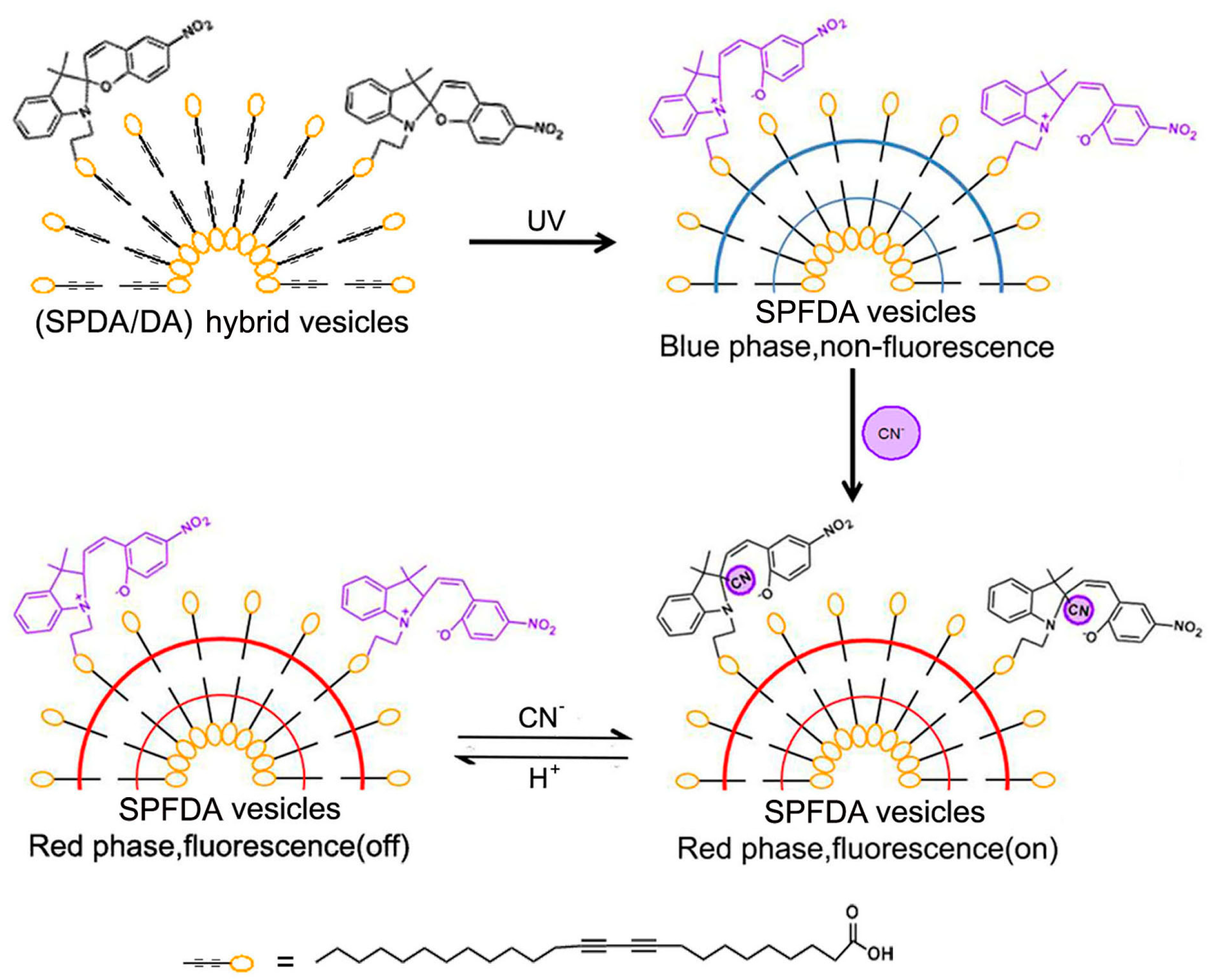 Molecules 22 02236 g003