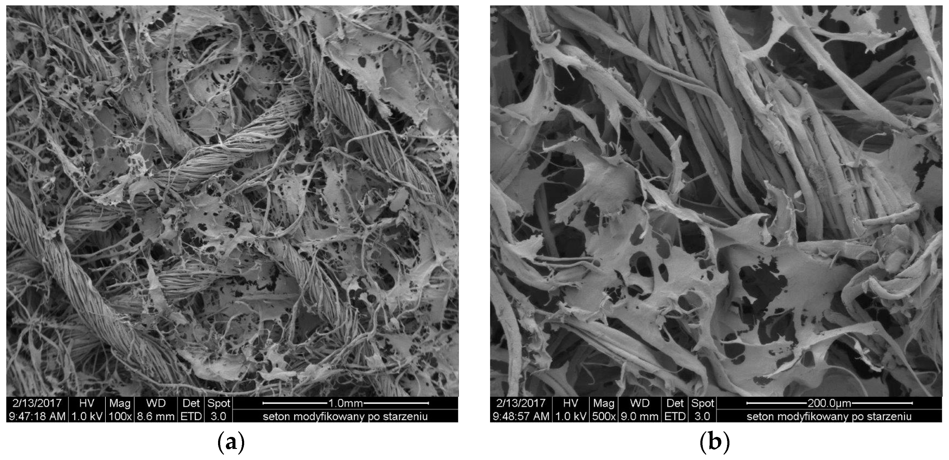 Molecules 22 02240 g012
