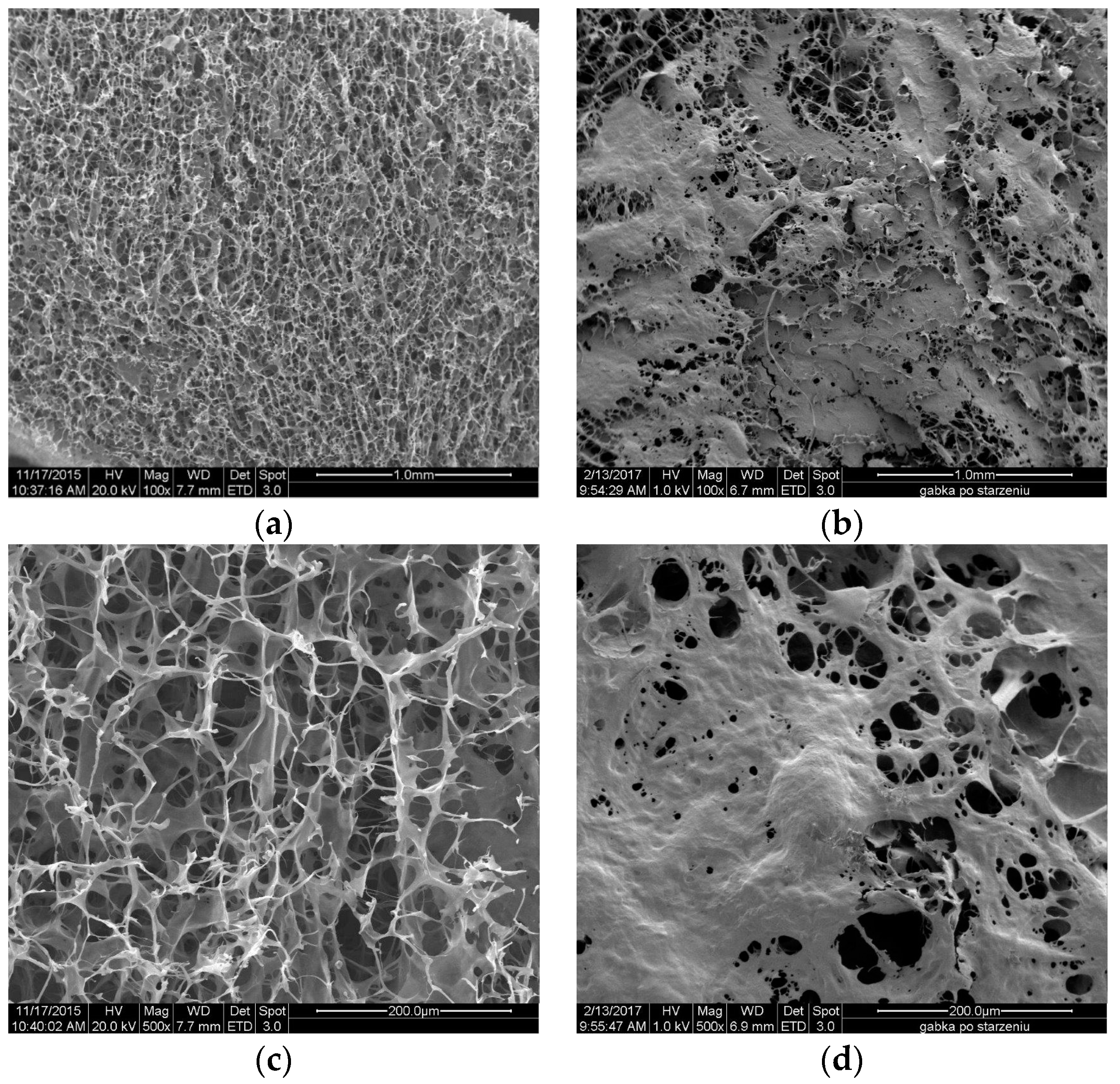 Molecules 22 02240 g013