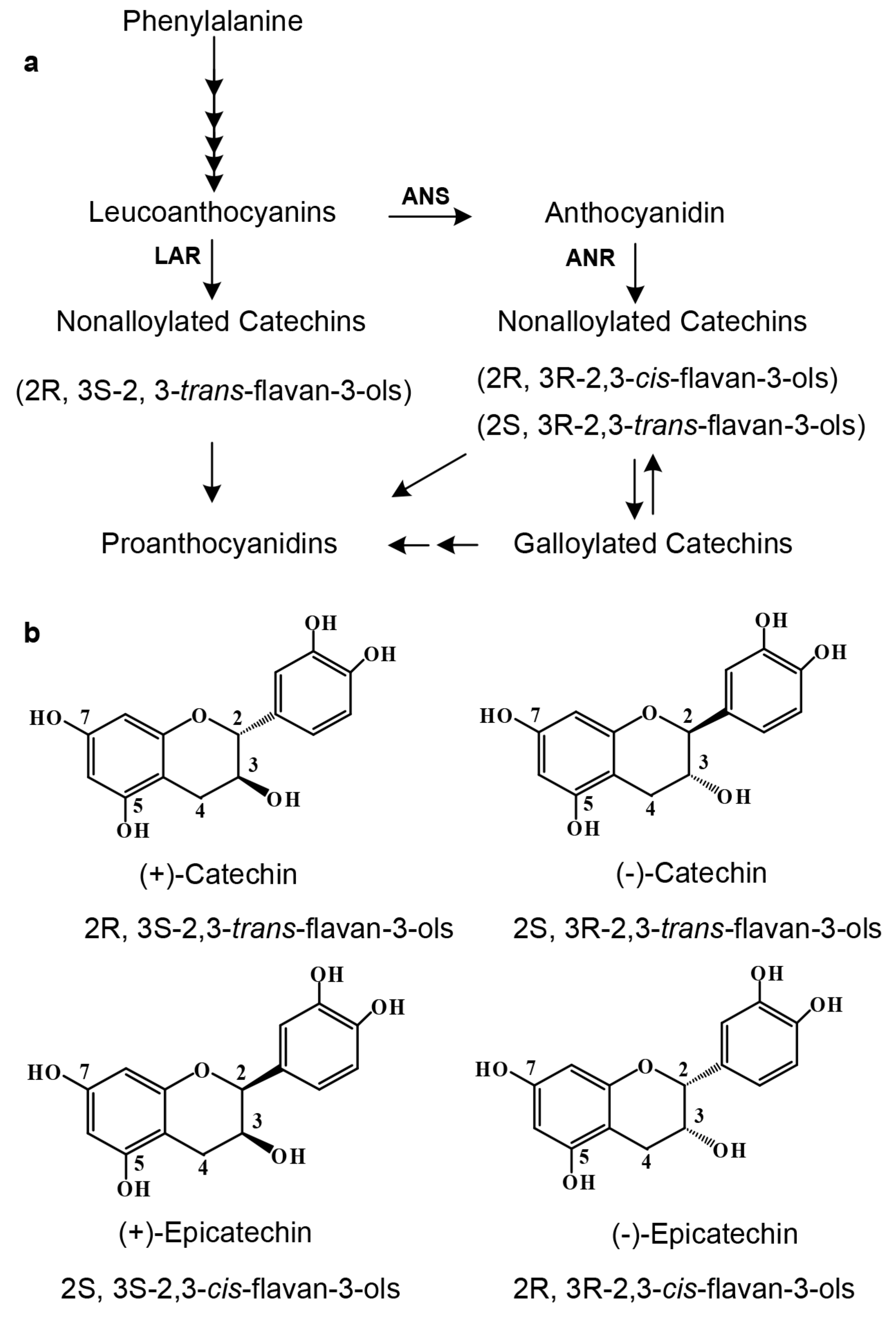 Molecules 22 02241 g001