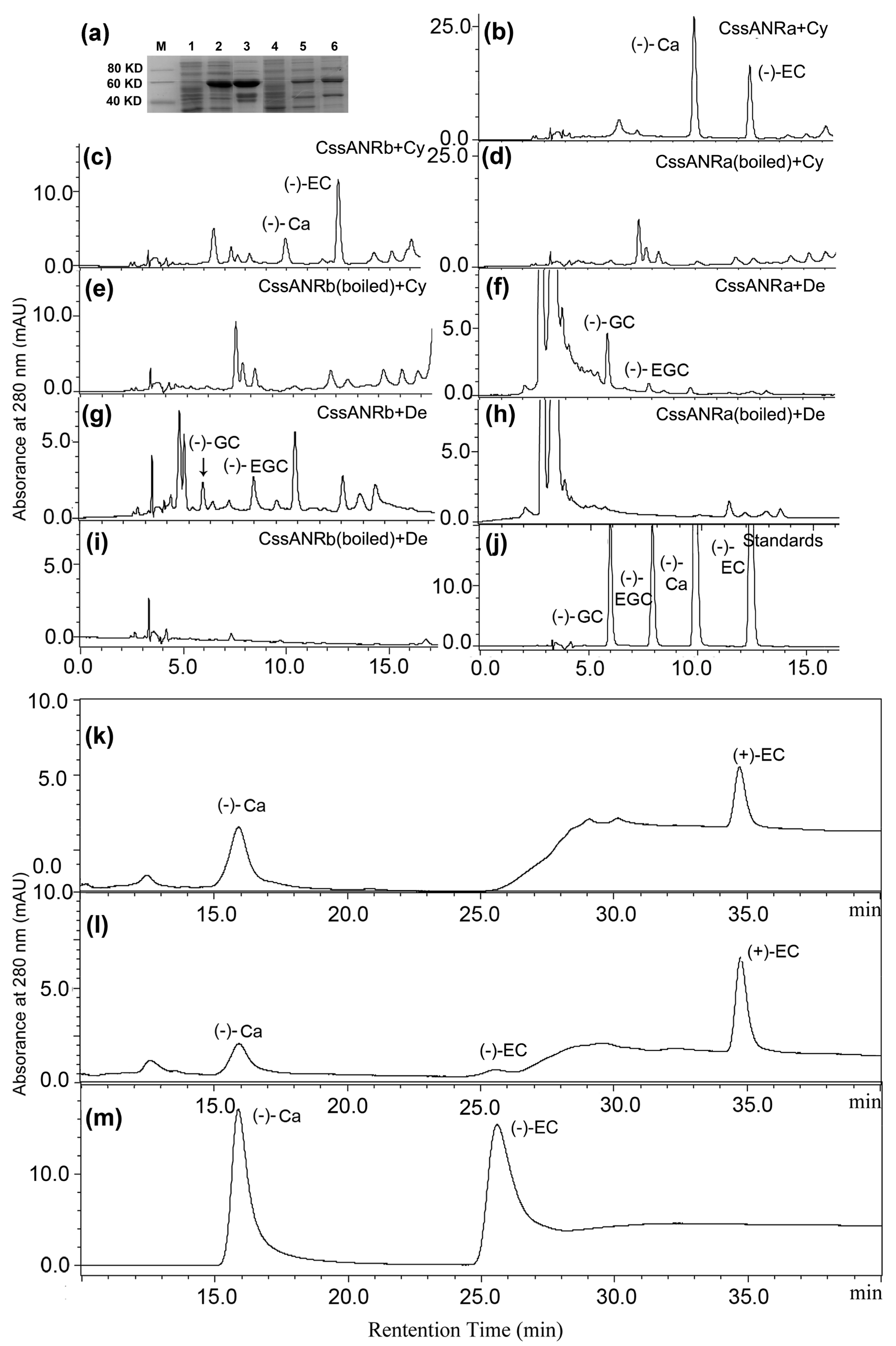 Molecules 22 02241 g006