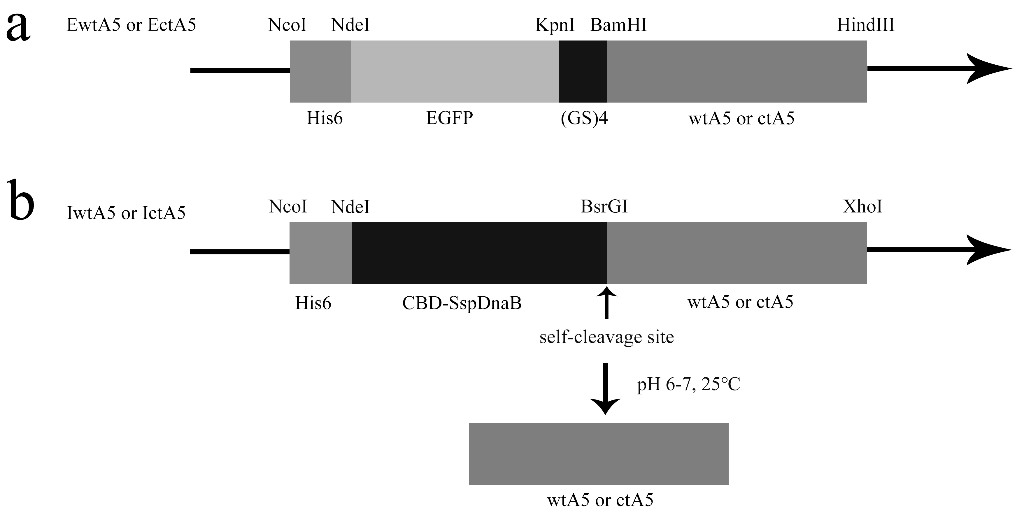 Molecules 22 02256 g002