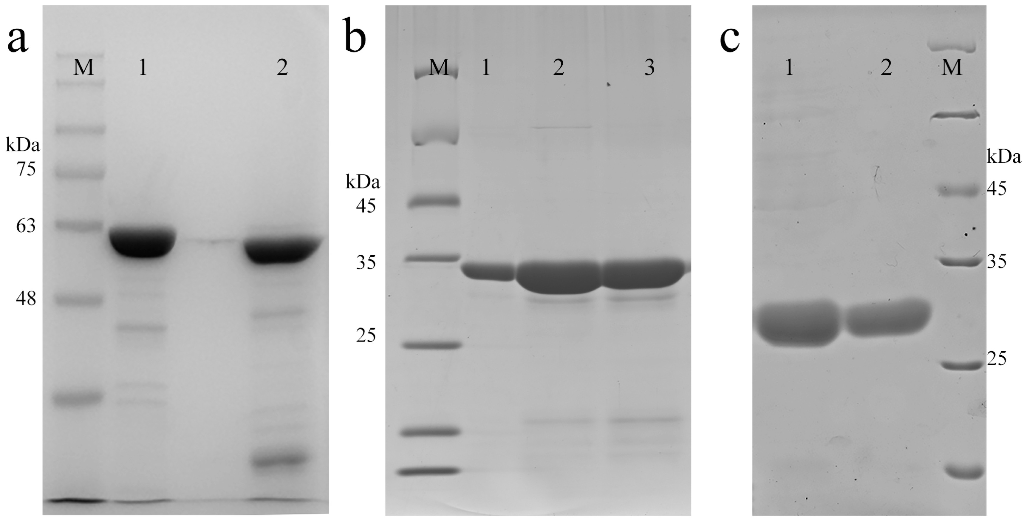 Molecules 22 02256 g003