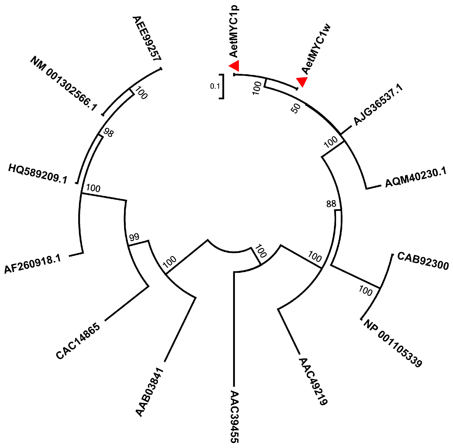 Molecules 22 02259 g003