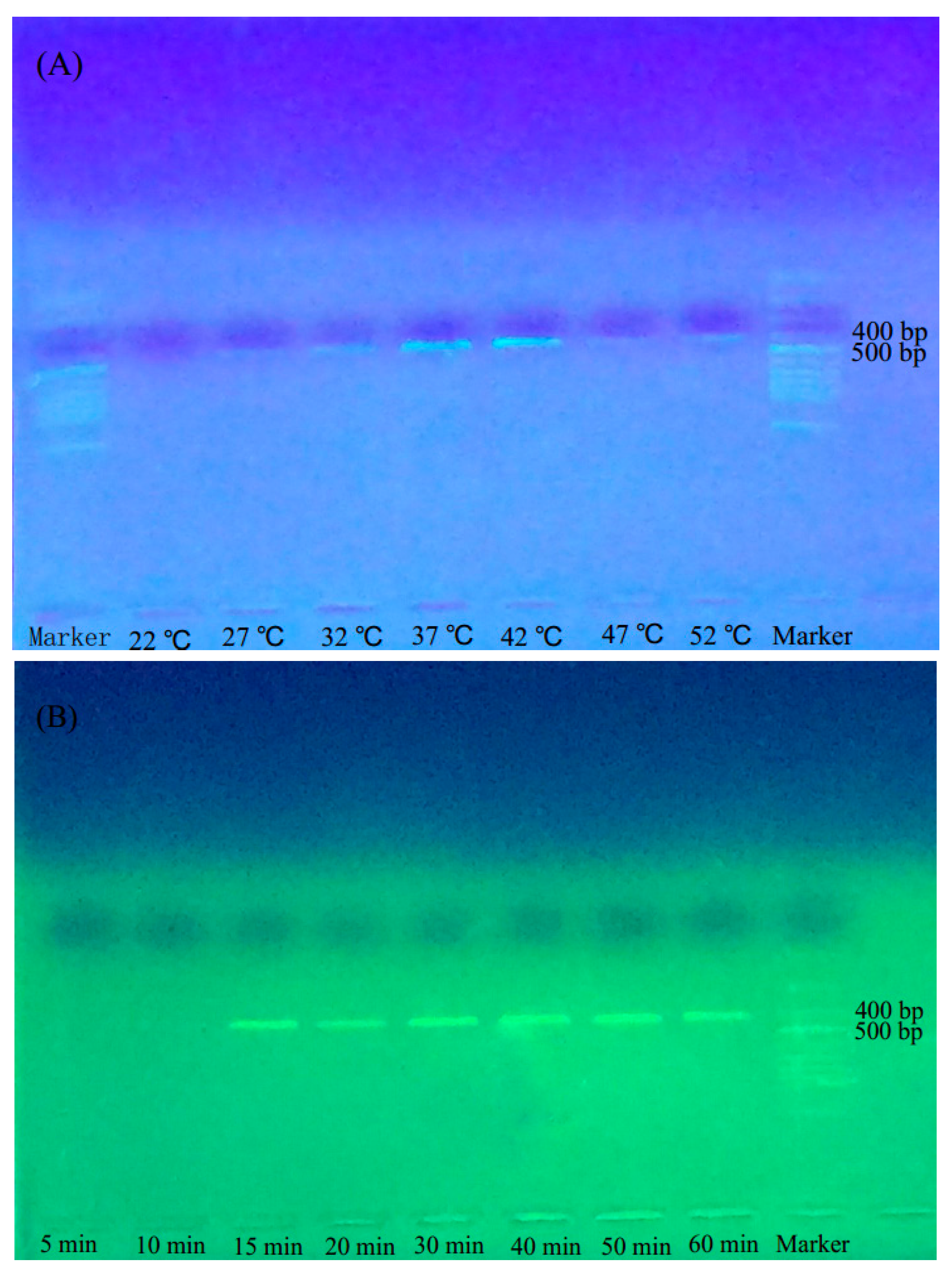 Molecules 22 02261 g001 Molecules 22 02261 g001