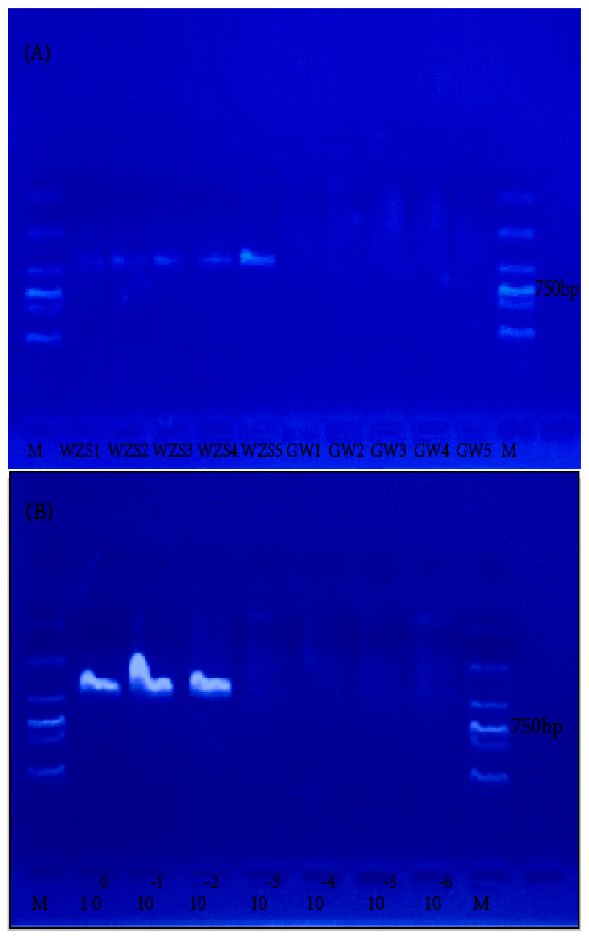 Molecules 22 02261 g002 Molecules 22 02261 g002
