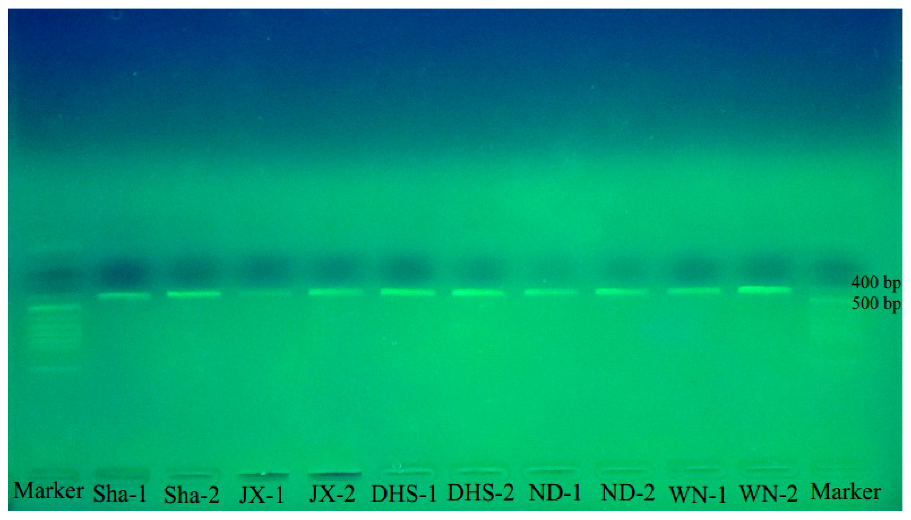 Molecules 22 02261 g003 Molecules 22 02261 g003