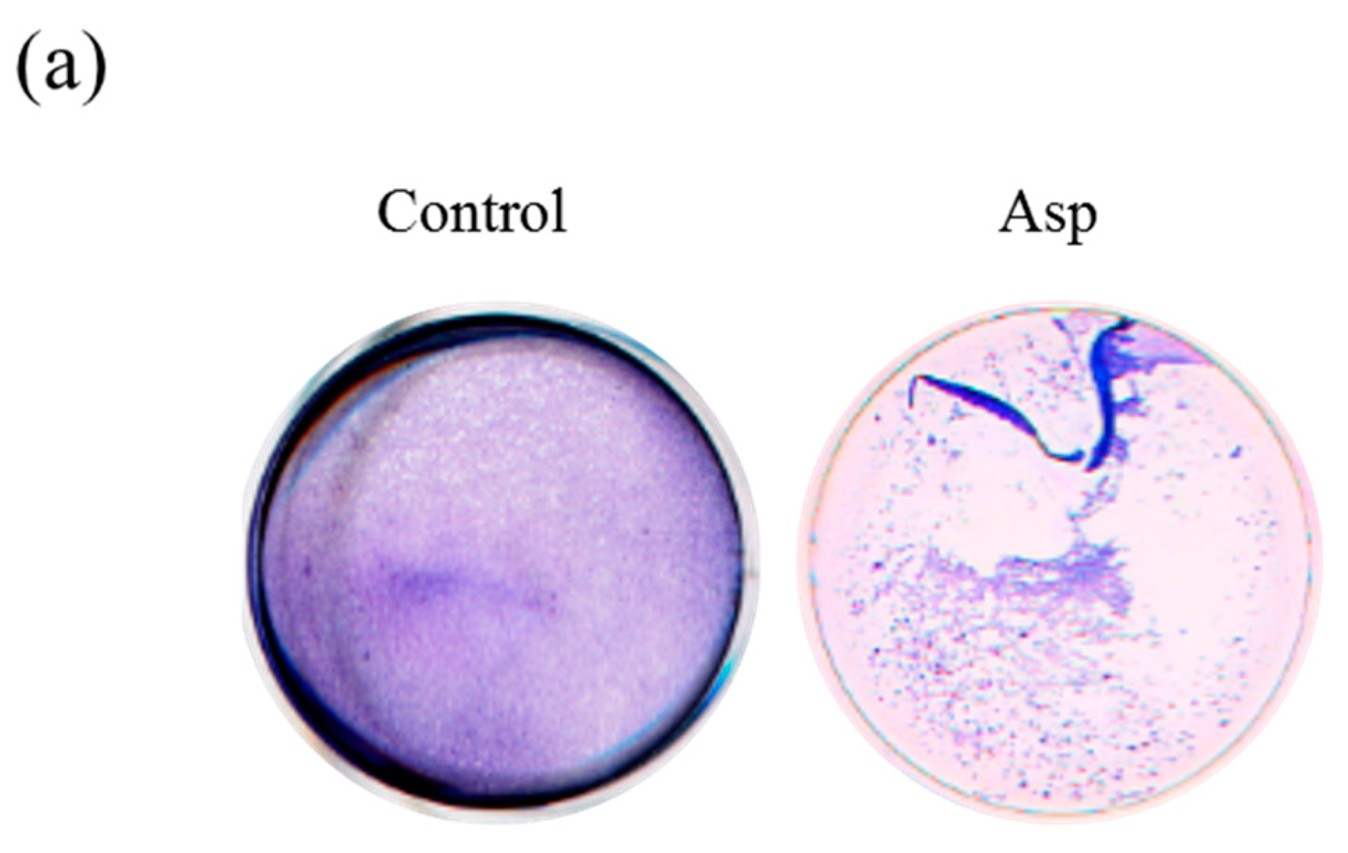 Molecules 22 02263 g003a