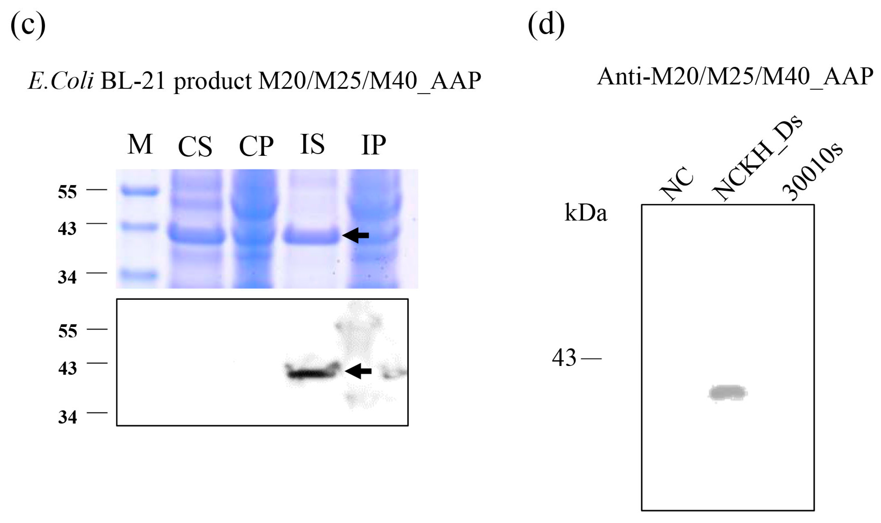 Molecules 22 02263 g005b