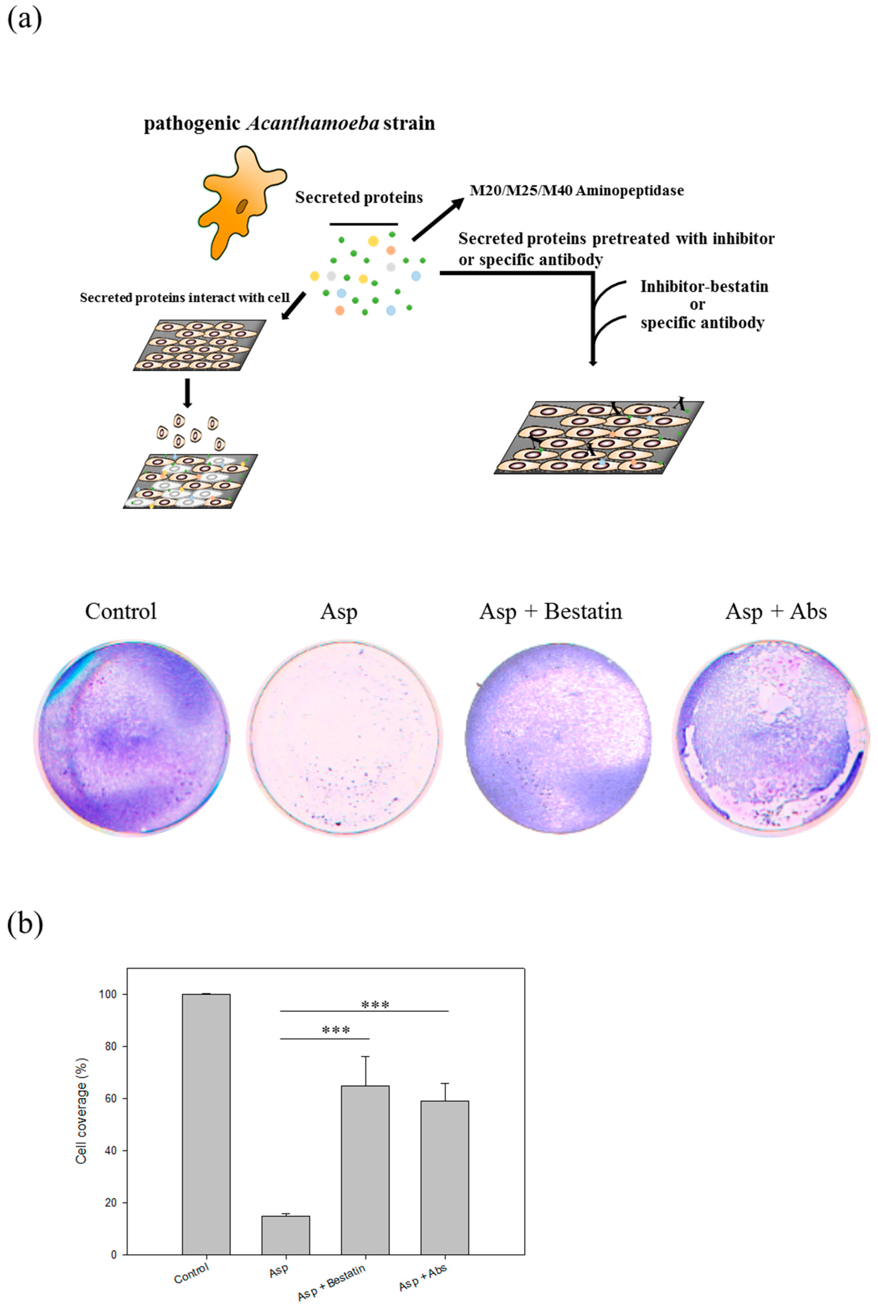 Molecules 22 02263 g006