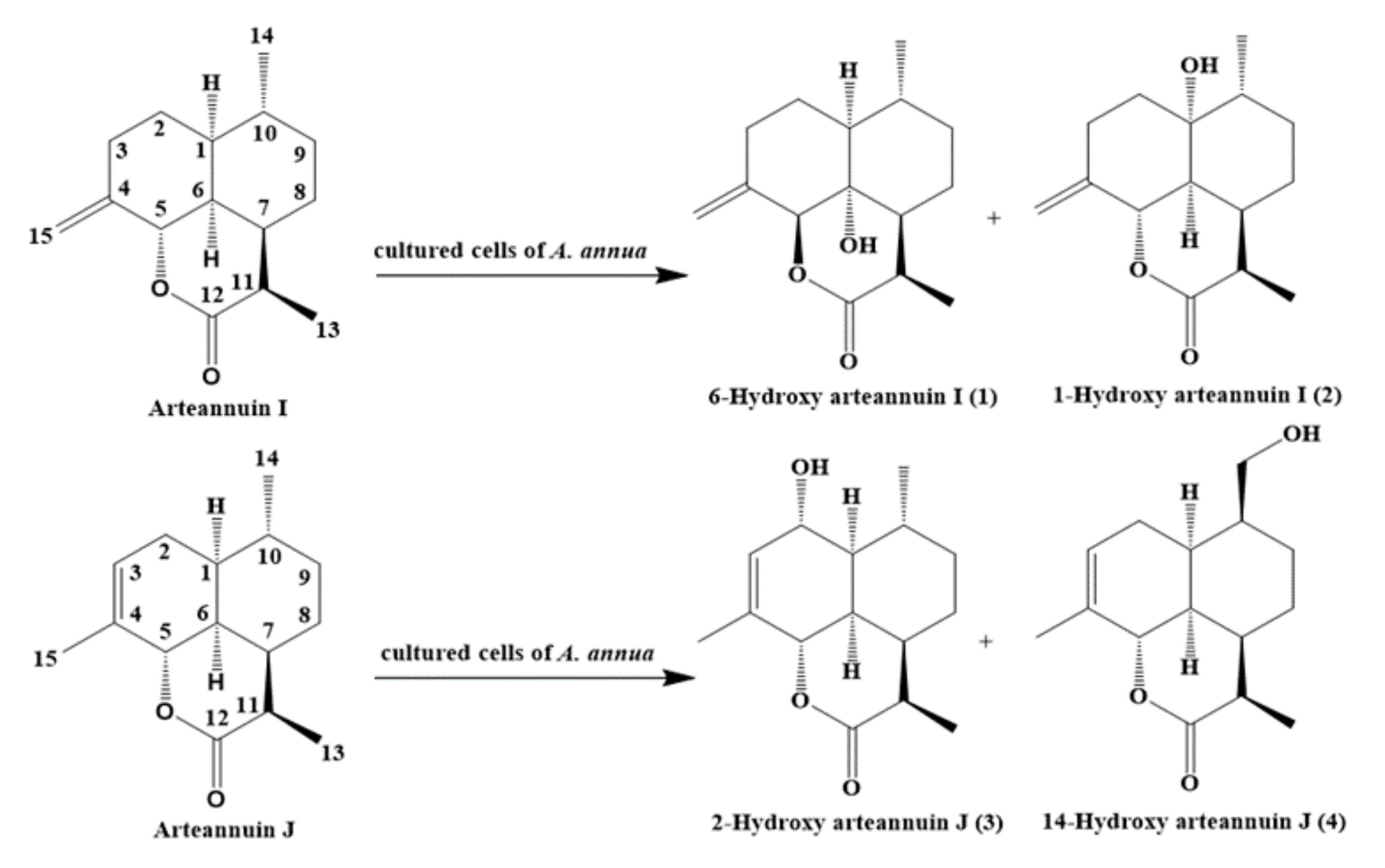 Molecules 22 02264 g007 Molecules 22 02264 g007