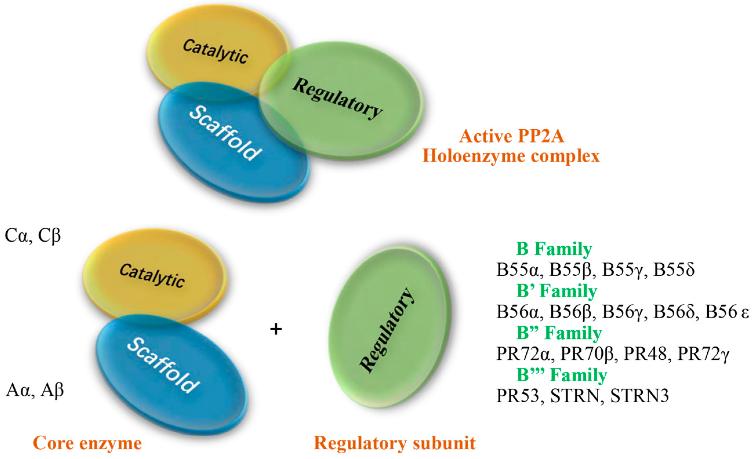 Molecules 22 02277 g001 Molecules 22 02277 g001