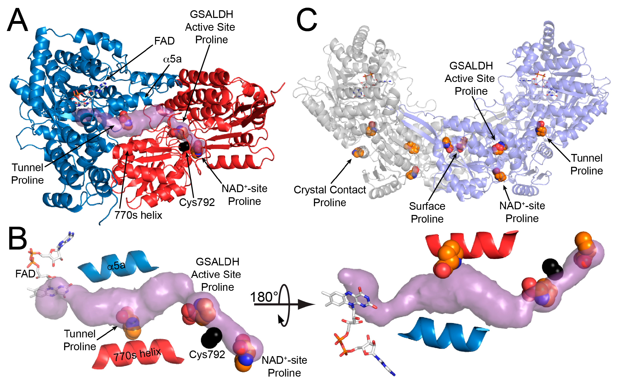 Molecules 23 00032 g002