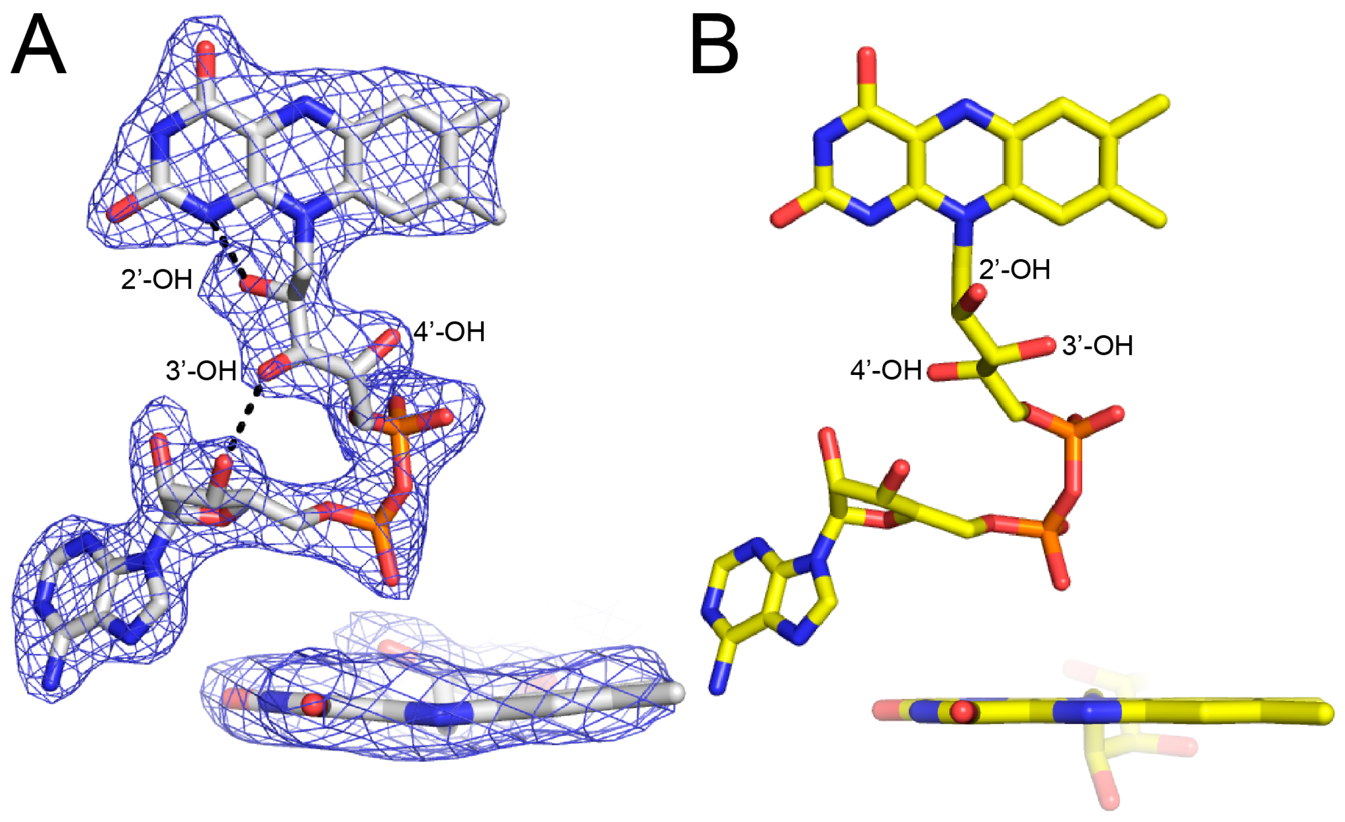 Molecules 23 00032 g003
