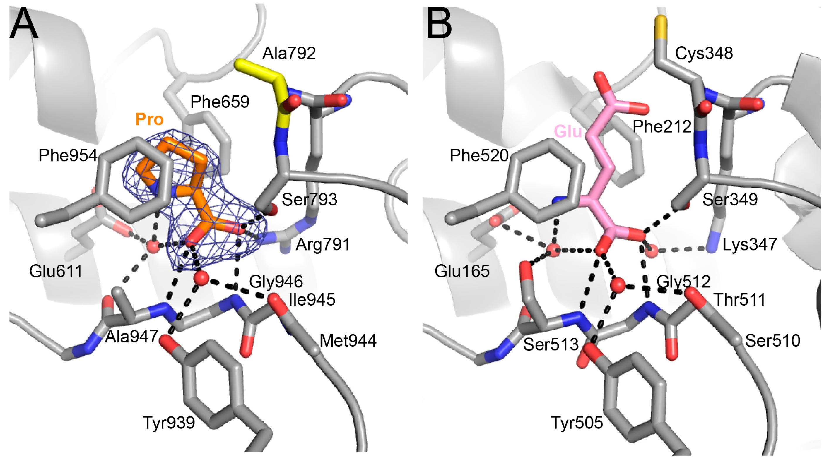 Molecules 23 00032 g005
