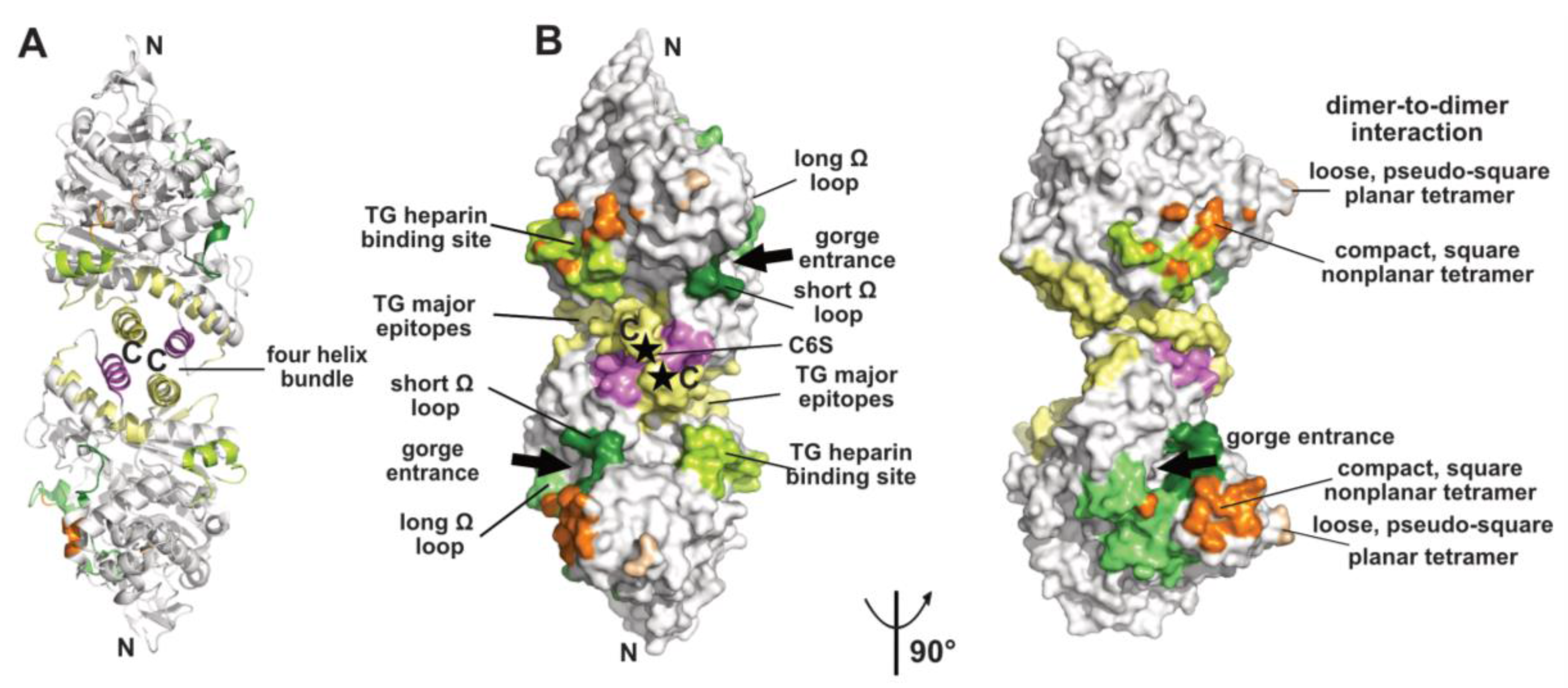 Molecules 23 00035 g001