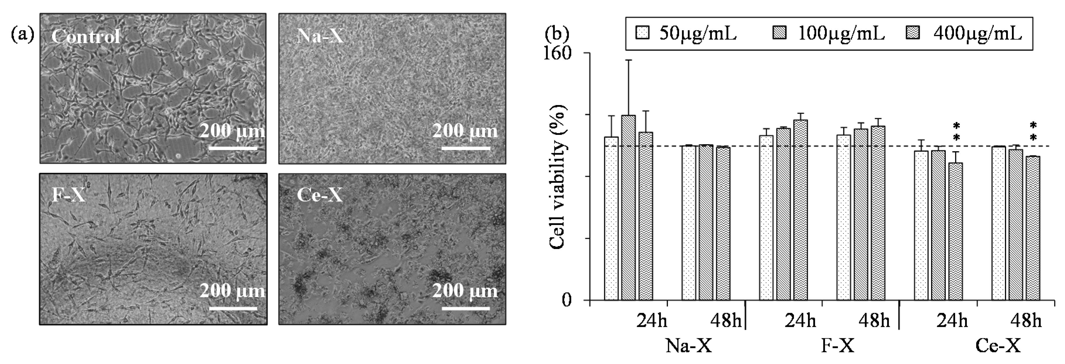 Molecules 23 00037 g008