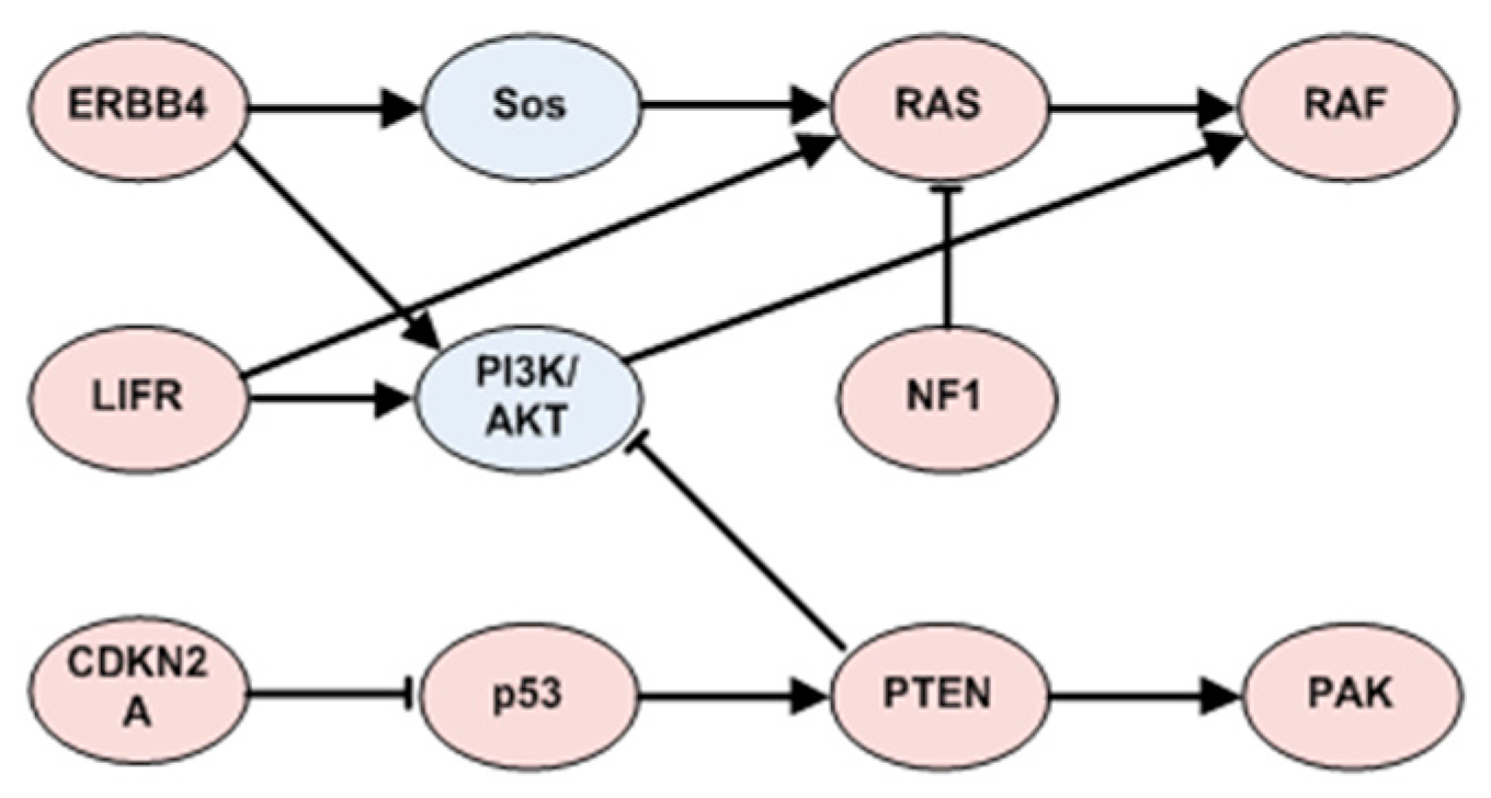 Molecules 23 00039 g007