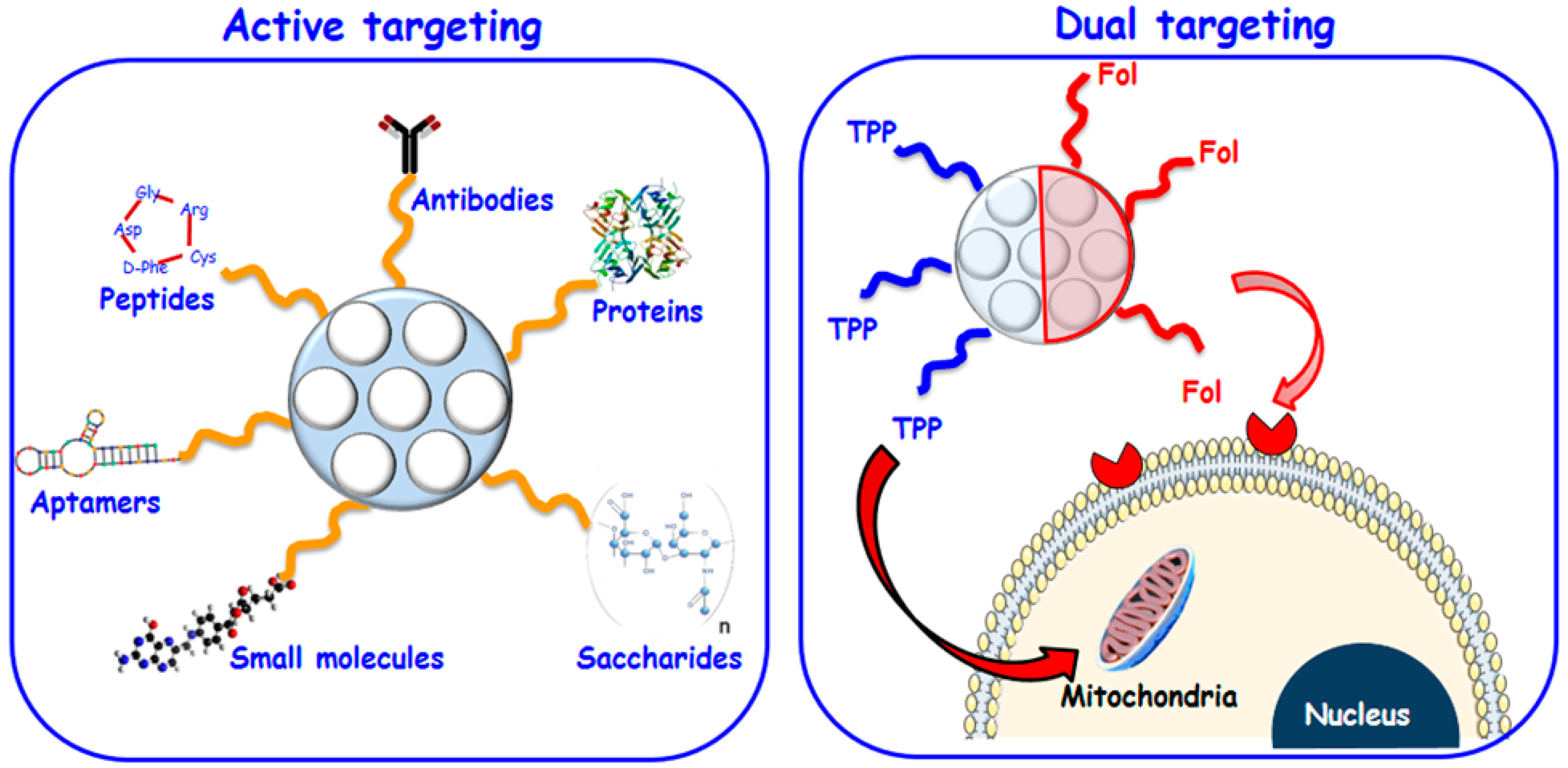 Molecules 23 00047 g002