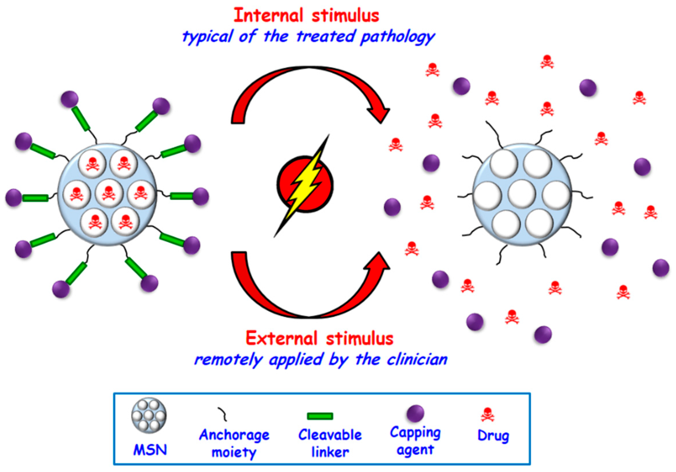 Molecules 23 00047 g003