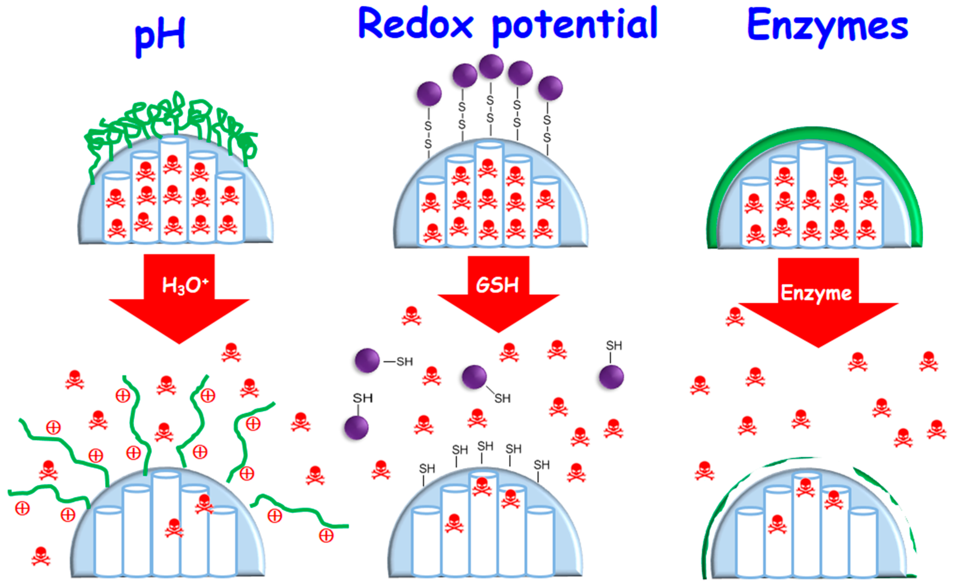 Molecules 23 00047 g004