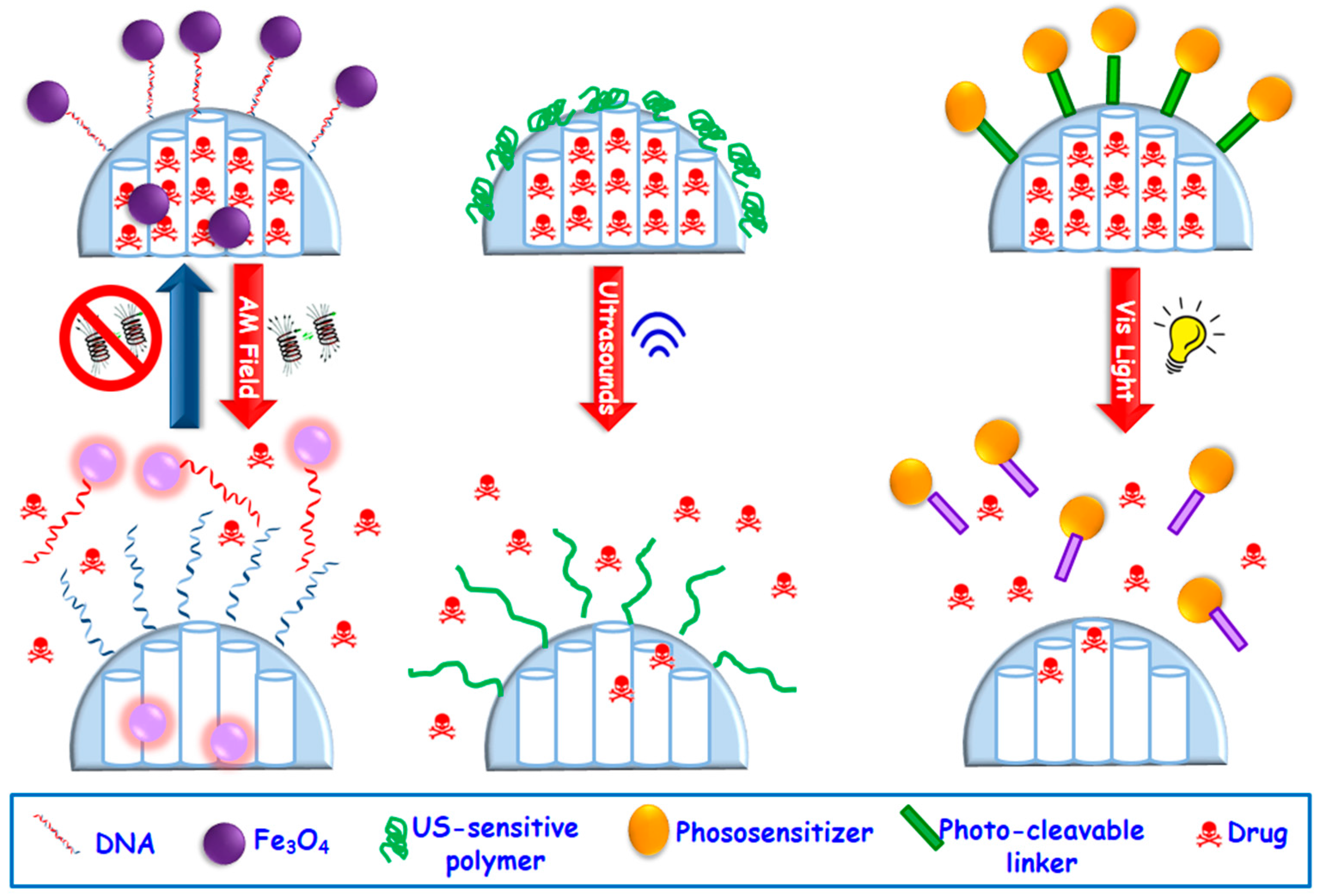 Molecules 23 00047 g005