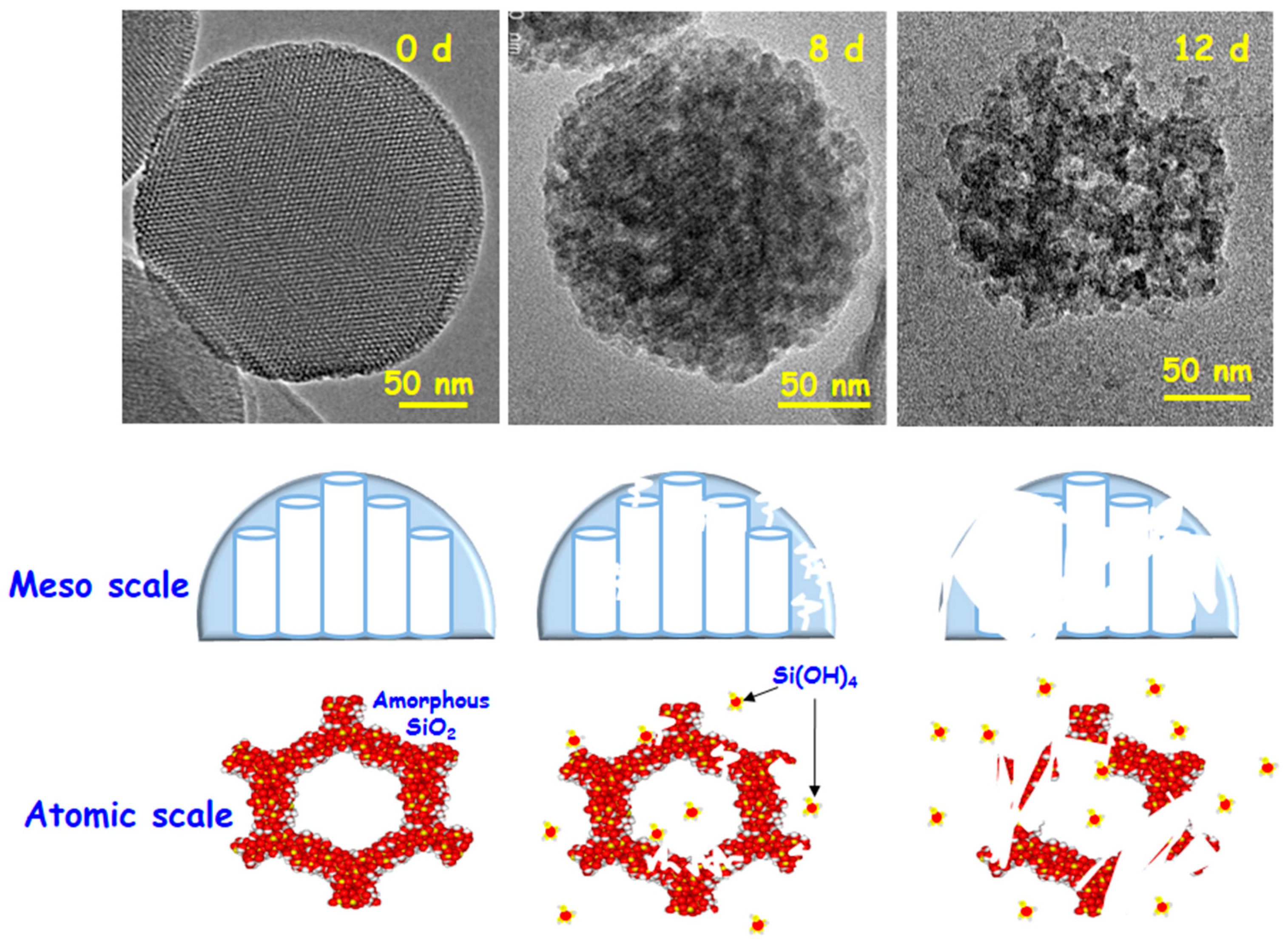 Molecules 23 00047 g006