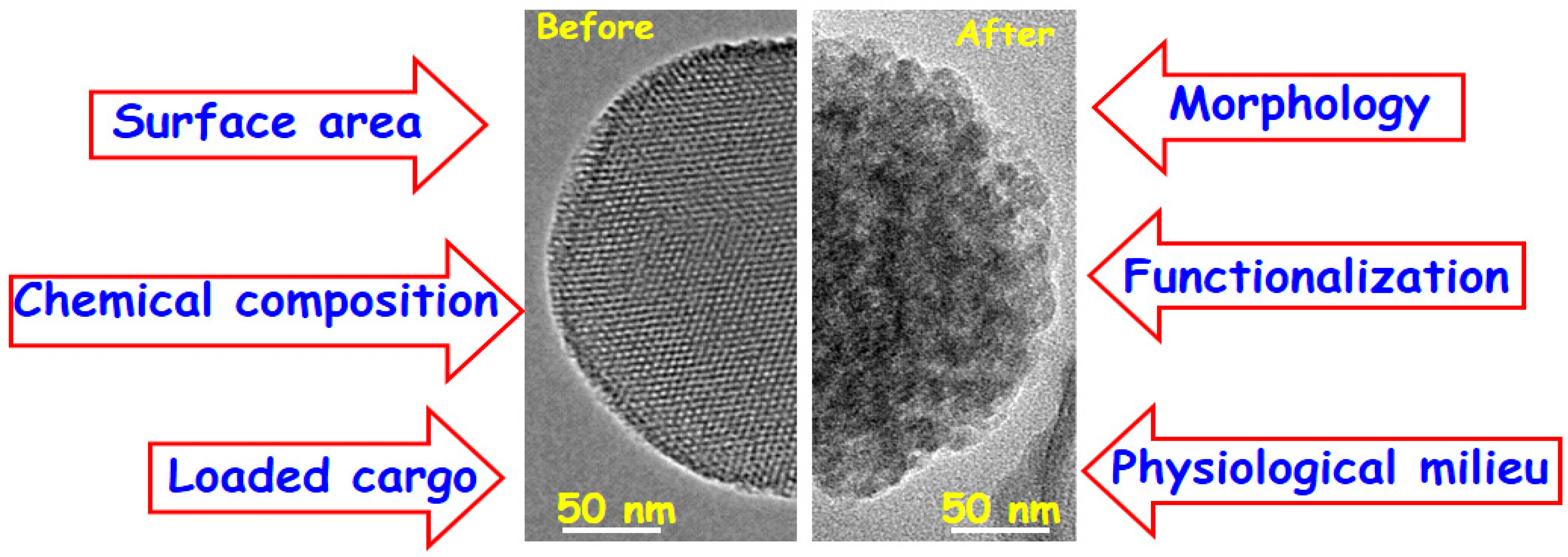 Molecules 23 00047 g007