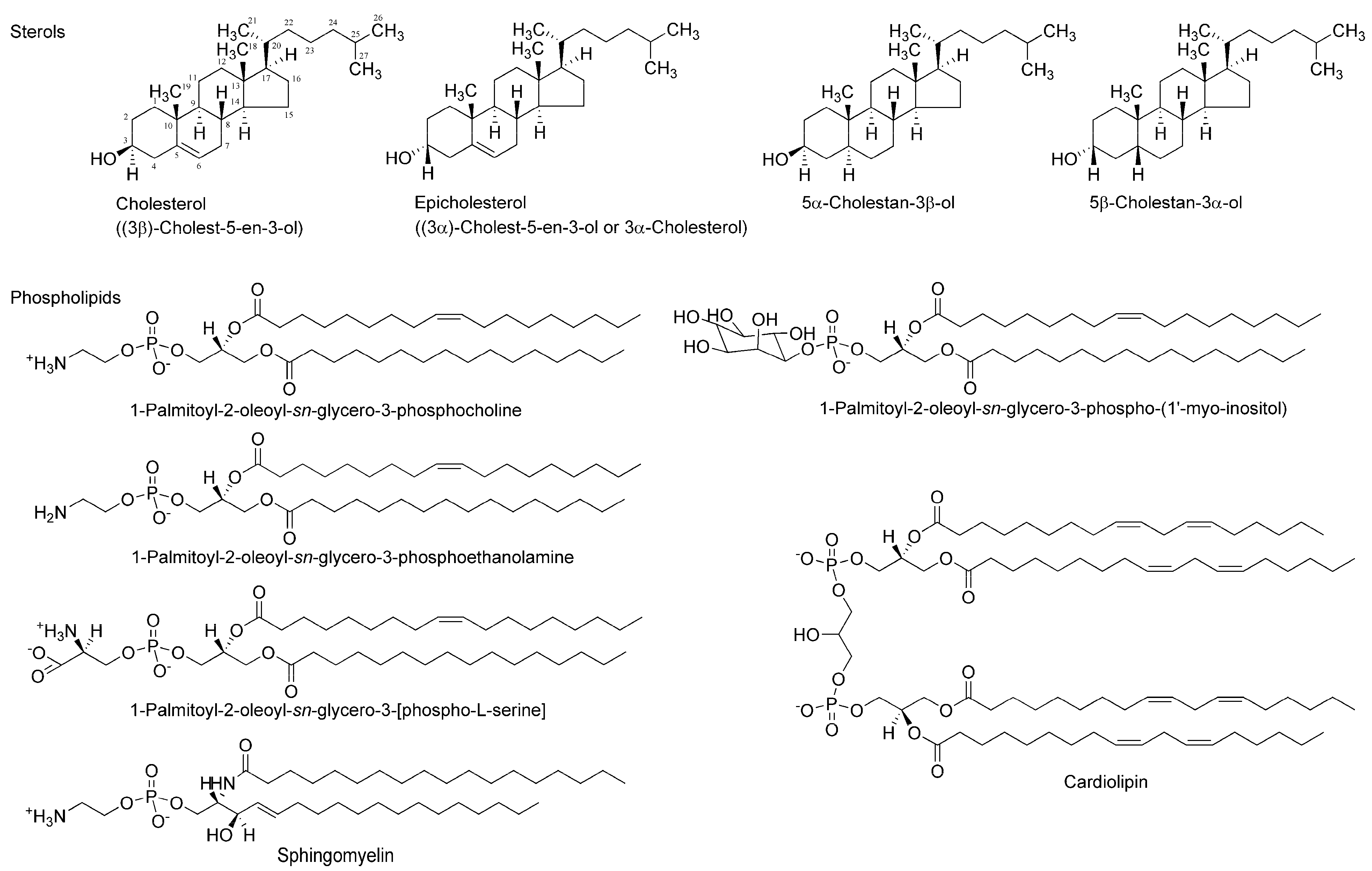 Molecules 23 00049 g002