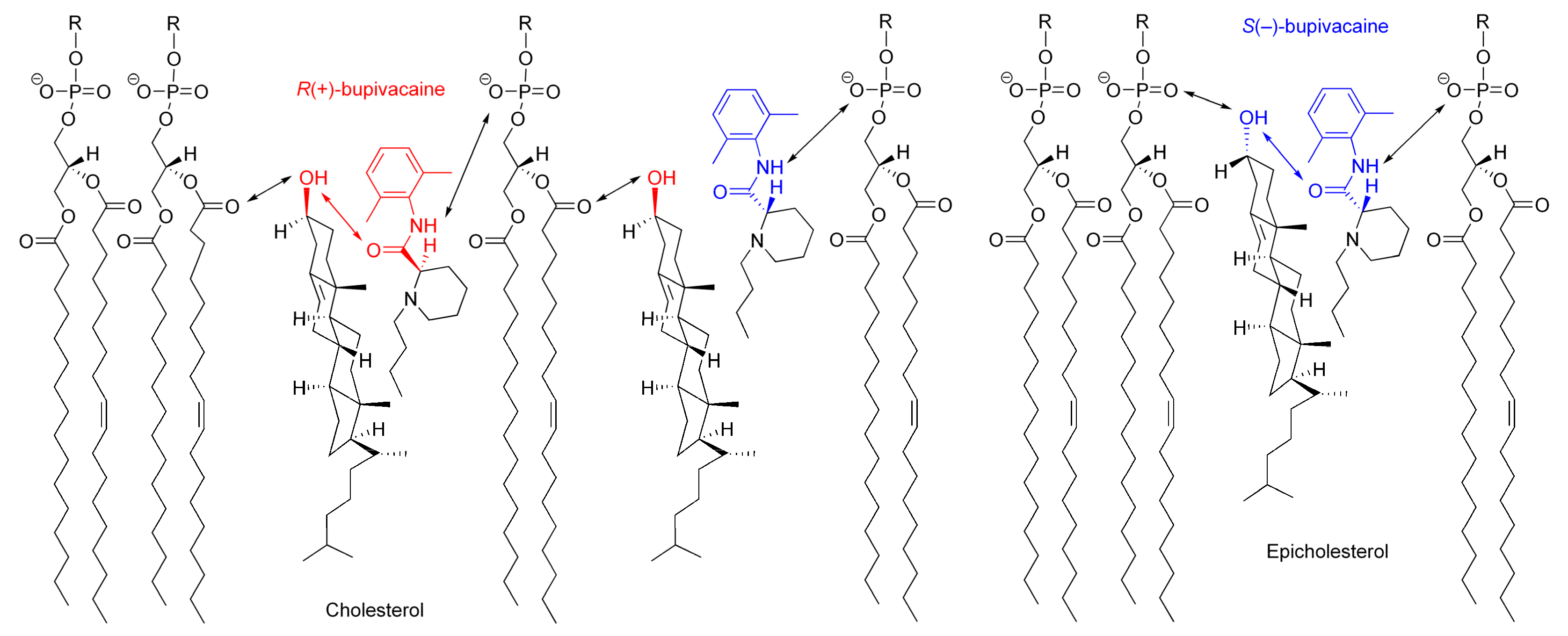 Molecules 23 00049 g008