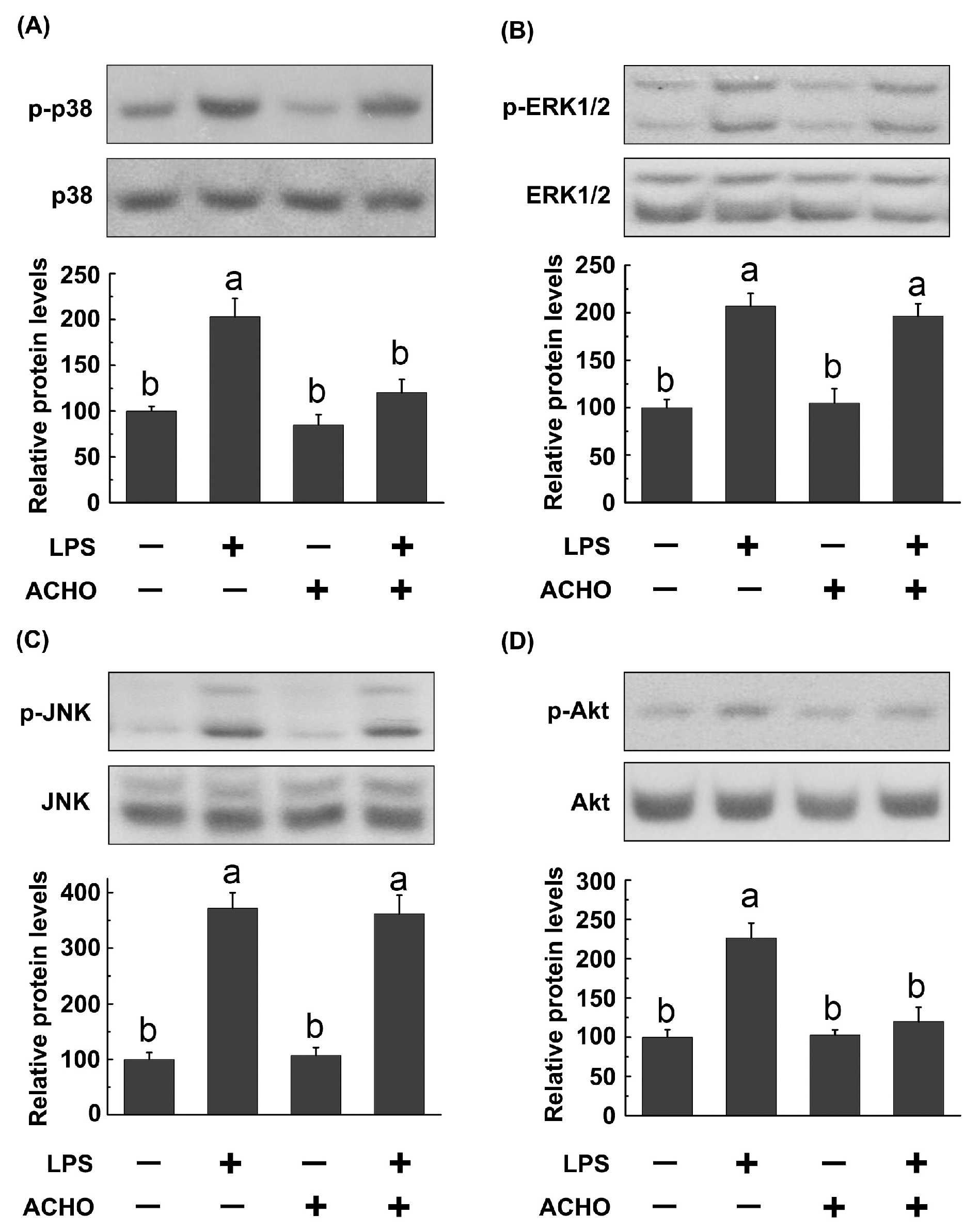Molecules 23 00051 g003 Molecules 23 00051 g003